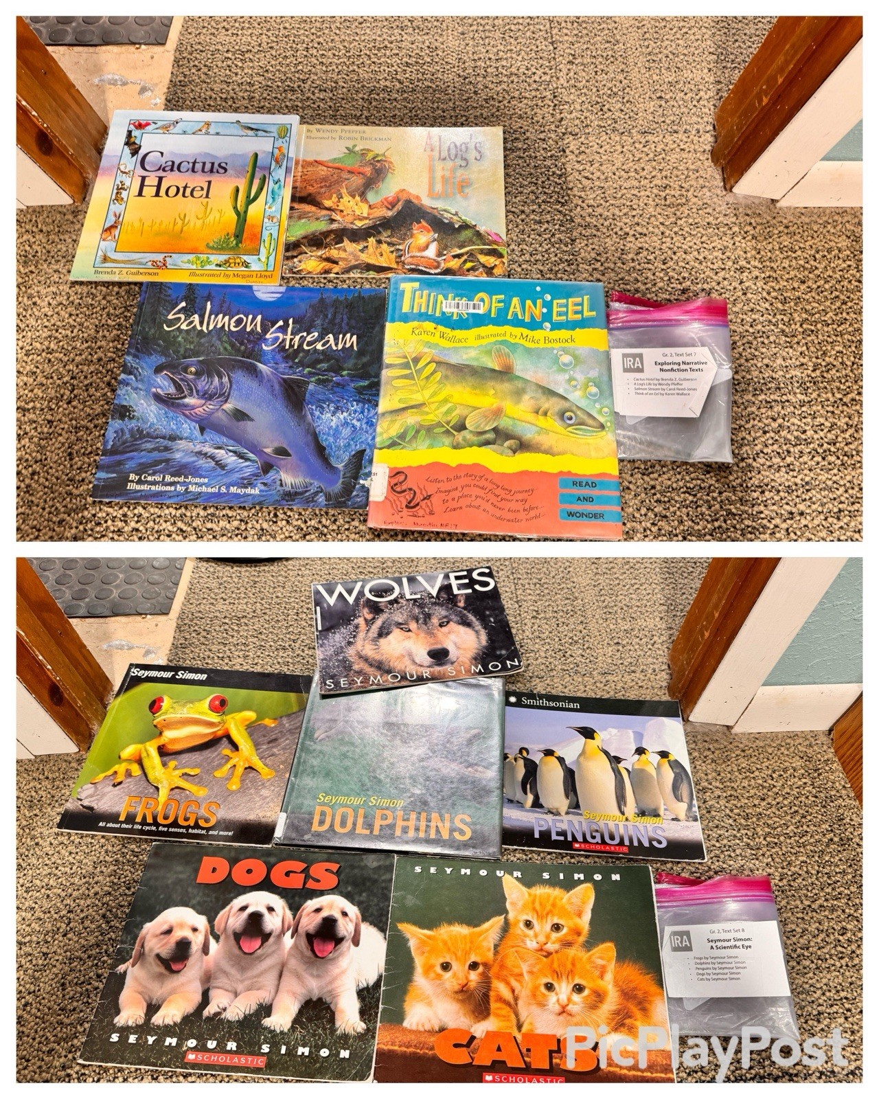 Heinemann Fountas & Pinnell Literacy Continuum Expanded Ed PreK-8 $1300 value