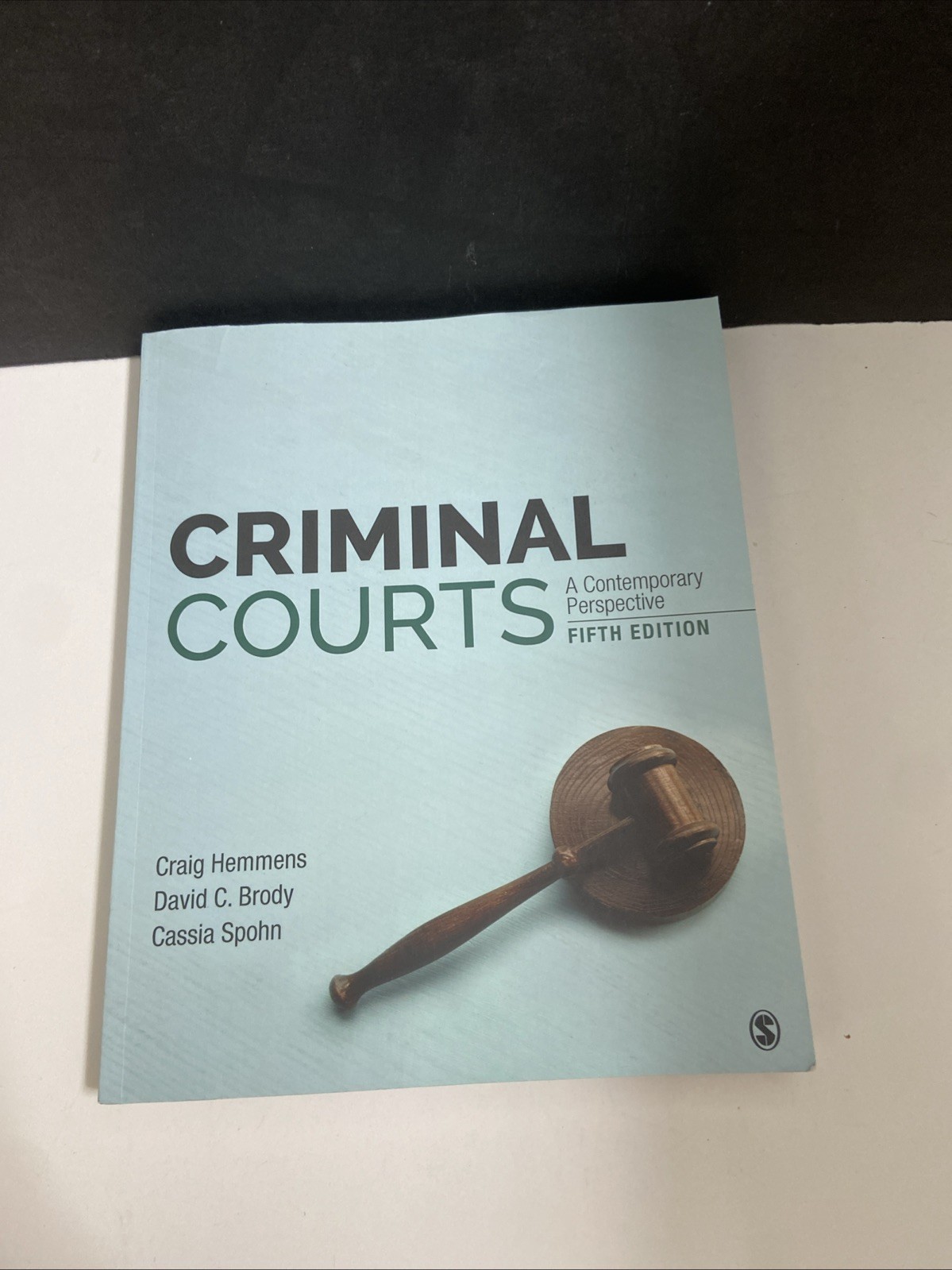 Criminal Courts: A Contemporary Perspective- Mint Condition 👍👍