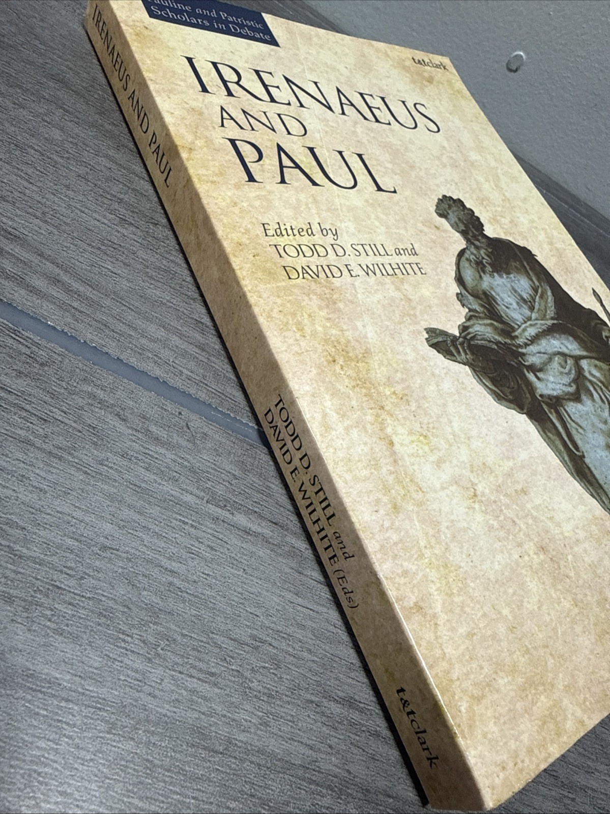 Irenaeus and Paul by Dr David E. Wilhite (English) Paperback Book