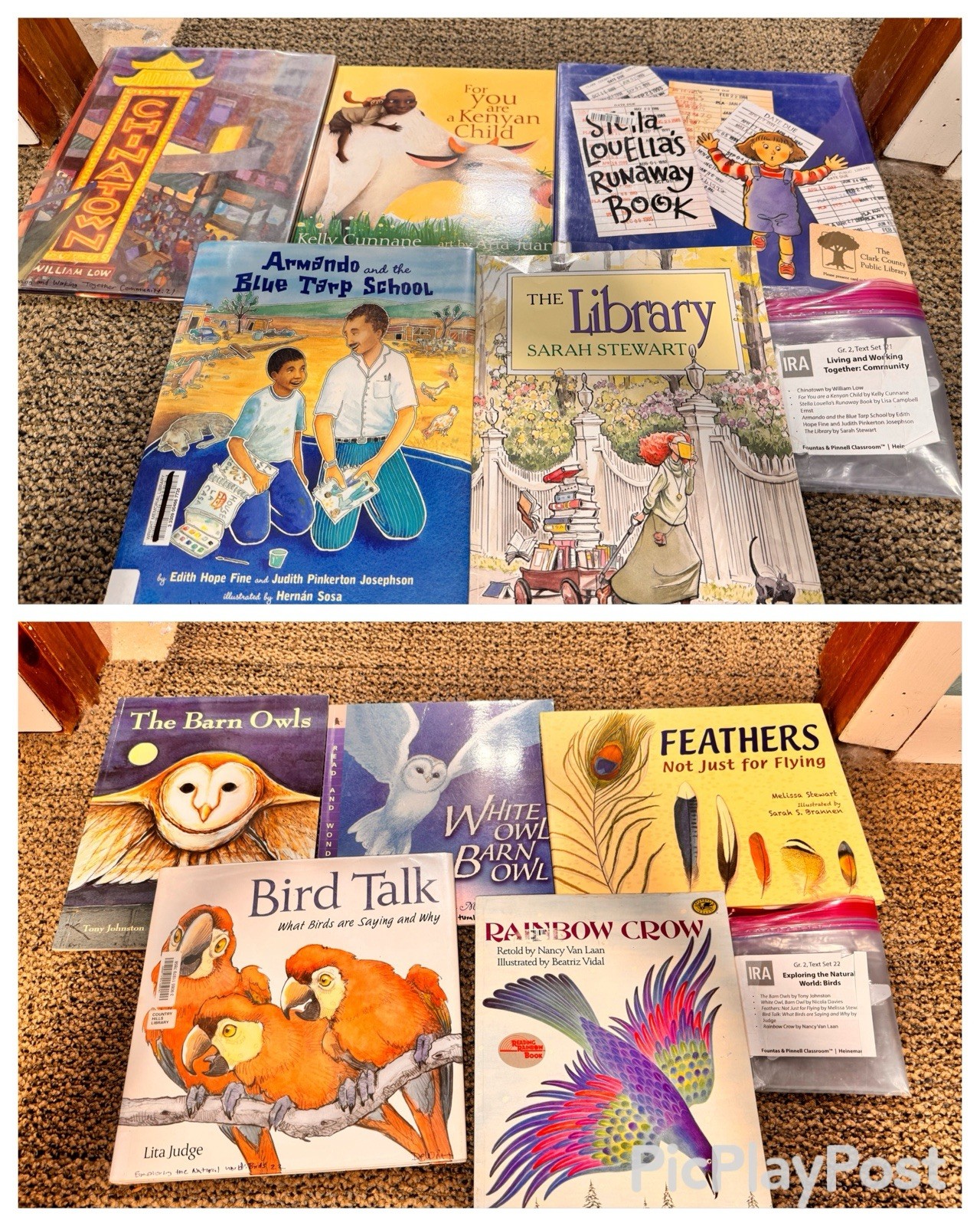Heinemann Fountas & Pinnell Literacy Continuum Expanded Ed PreK-8 $1300 value