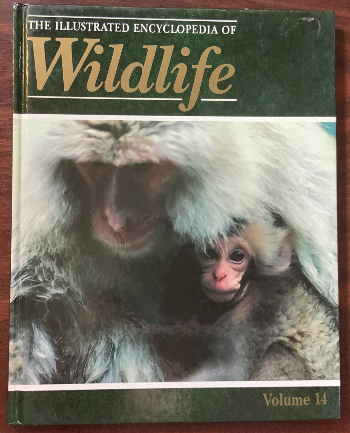THE ILLUSTRATED ENCYCLOPAEDIA OF WILDLIFE VOLUME 14 – Pages 781-840 – Hardback