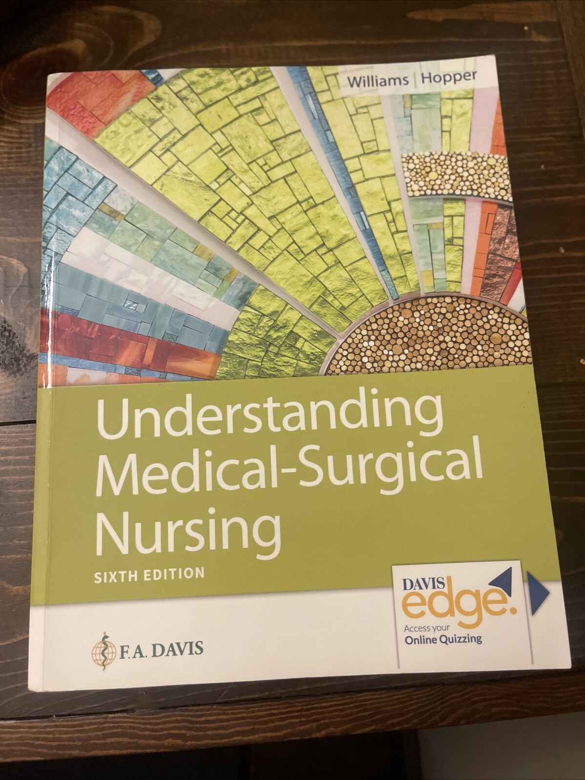 Understanding Medical-Surgical Nursing by Paula D. Hopper and Linda S. Williams