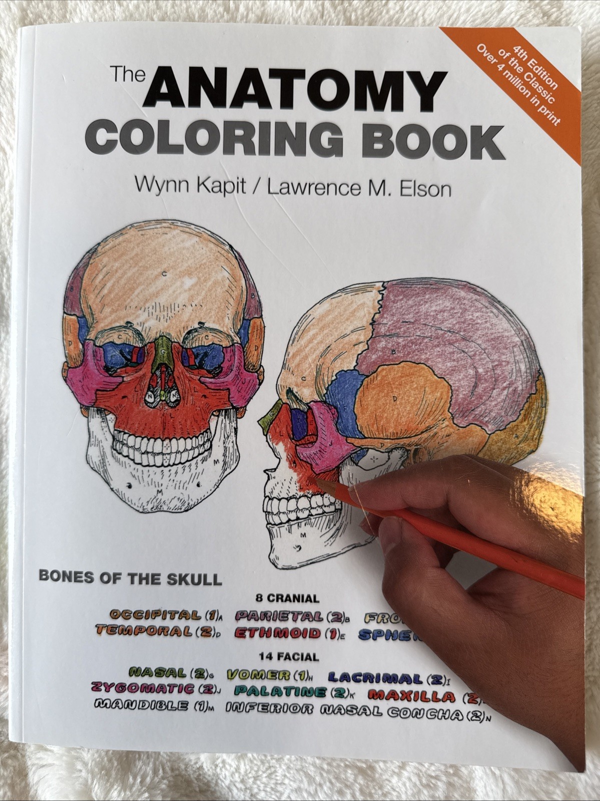 The Anatomy Coloring Book 4th Edition Wynn Kapit/Lawrence M. Elson 162 Pages