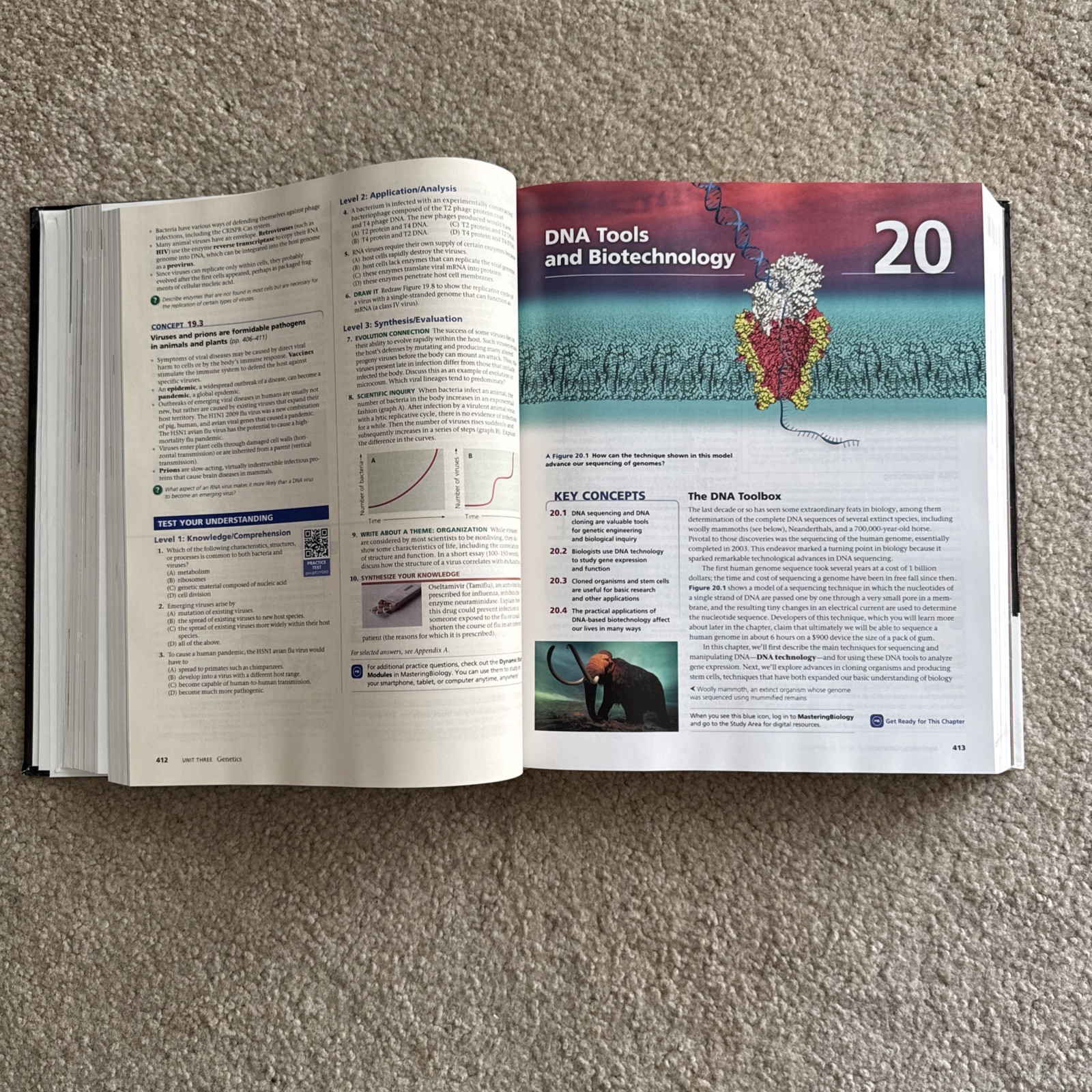 NO WRITING! Campbell Biology 11th Ed, Urry, Cain, Wasserman, Minorsky, Reece