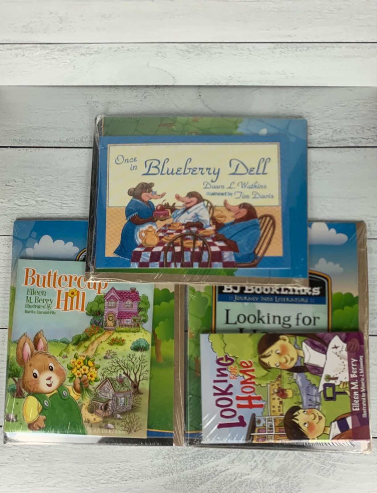 BJU Press Homeschool Bob Jones Set of 3 NEW Book Links Literature Books NEW Lot