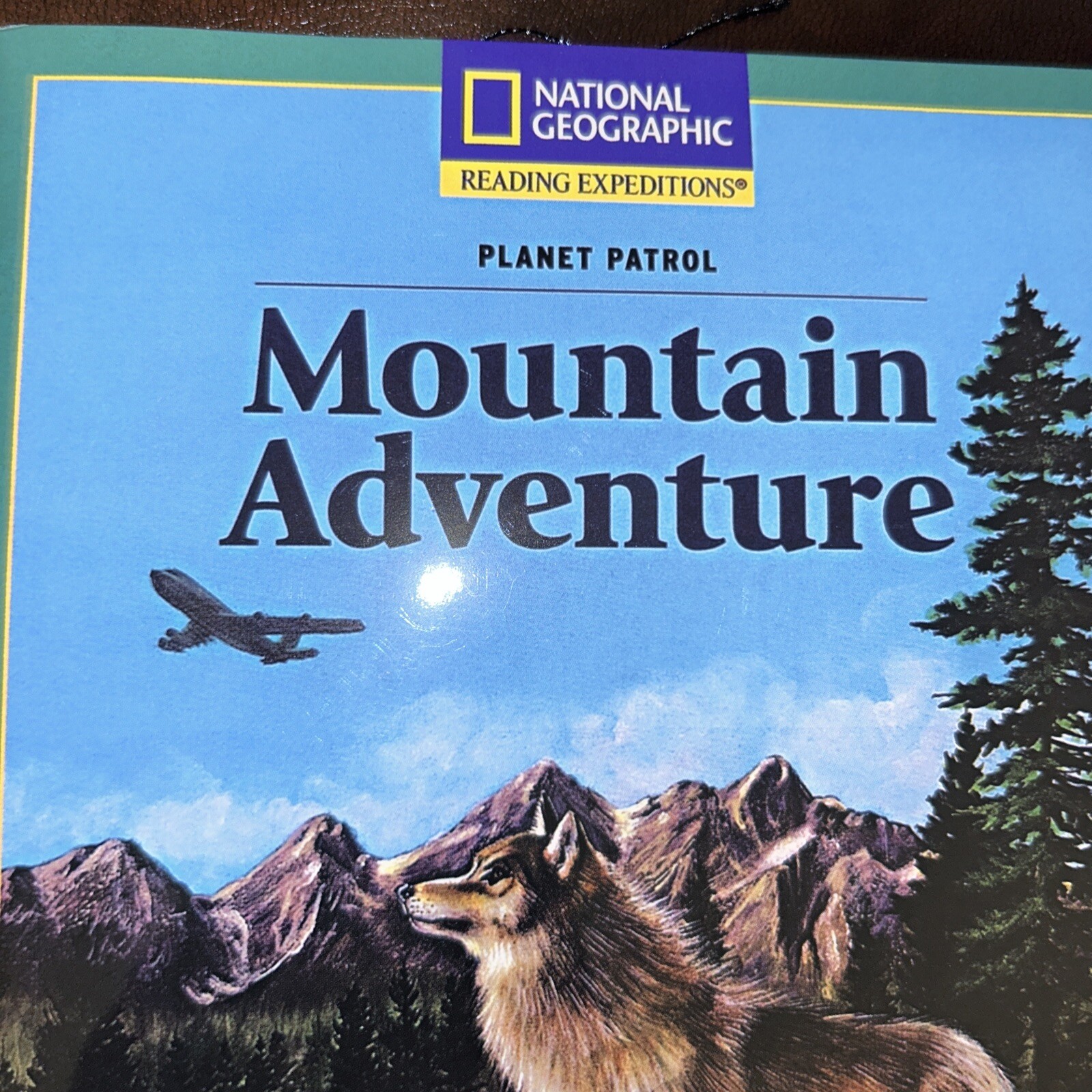 Rise and Shine Content-Based Chapter Books Fiction Mountain Adventure
