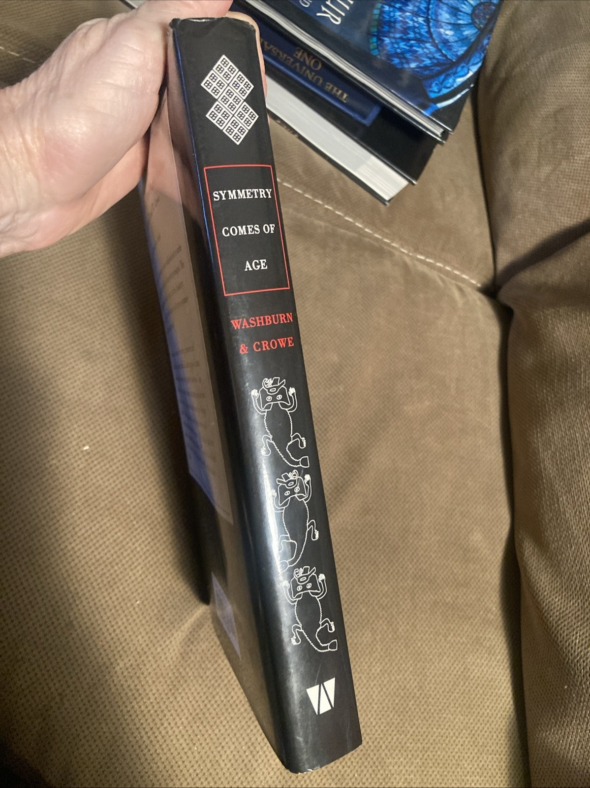 Symmetry Comes Of Age, The Role Of Pattern In Culture Hardback Book Dust Jacket