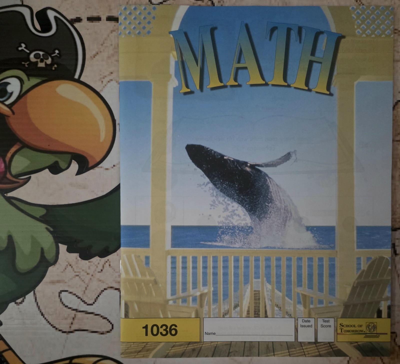 Ace Paces Math Lesson Book 1036 Homeschooling Lesson Christian
