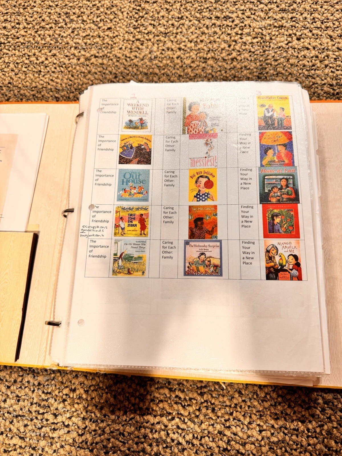 Heinemann Fountas & Pinnell Literacy Continuum Expanded Ed PreK-8 $1300 value