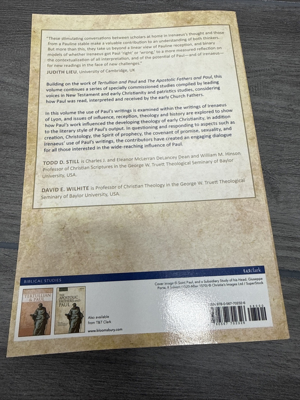 Irenaeus and Paul by Dr David E. Wilhite (English) Paperback Book