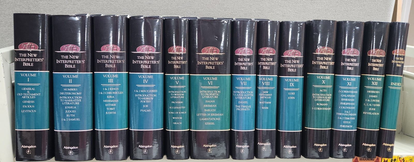 Full Set NEW INTERPRETERS BIBLE Commentary Volumes 1-12 NIB 1994 Abingdon Press