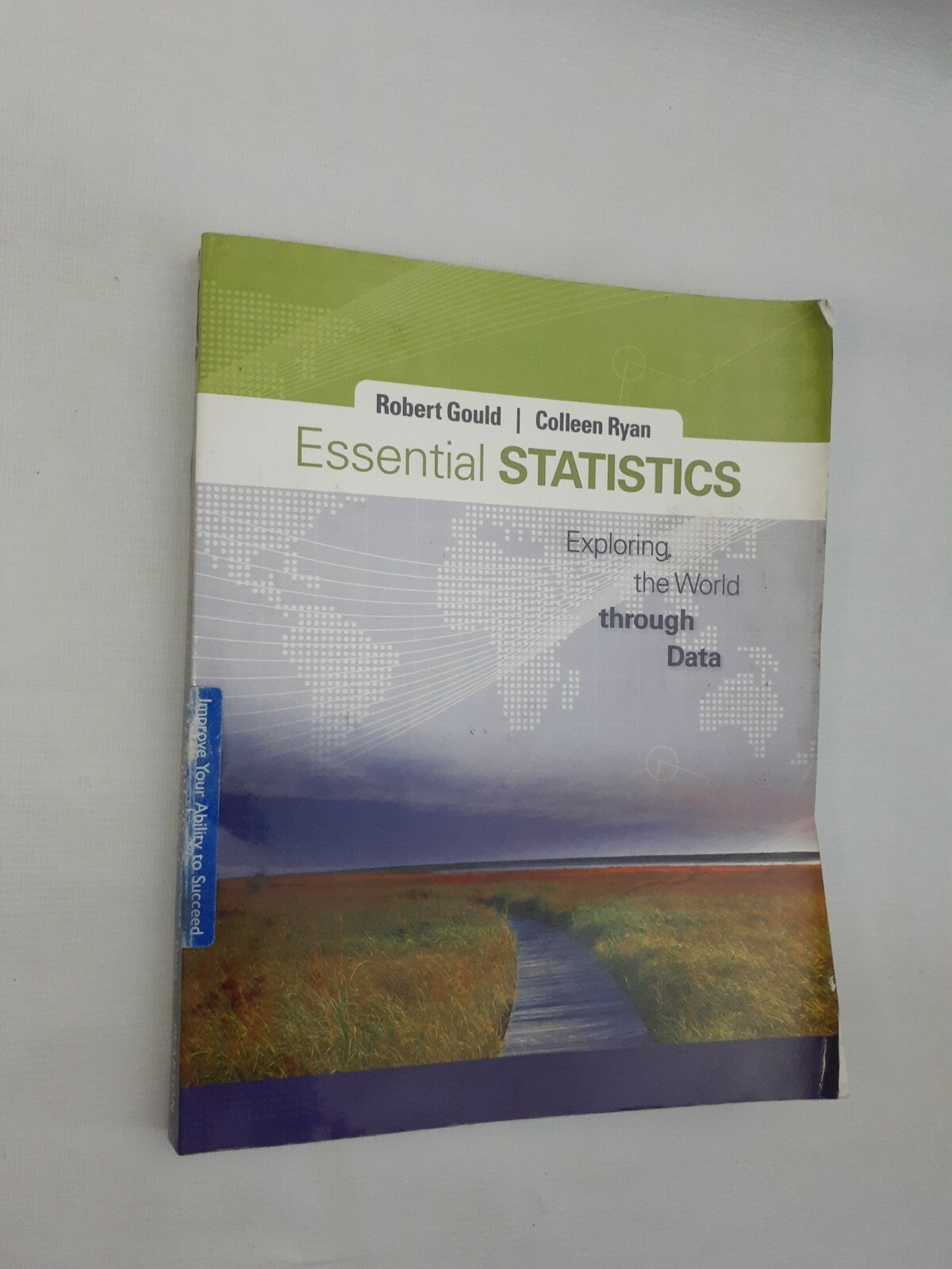 Essential Statistics by Gould, Robert N.; Ryan, Colleen N. Book + CD room disc