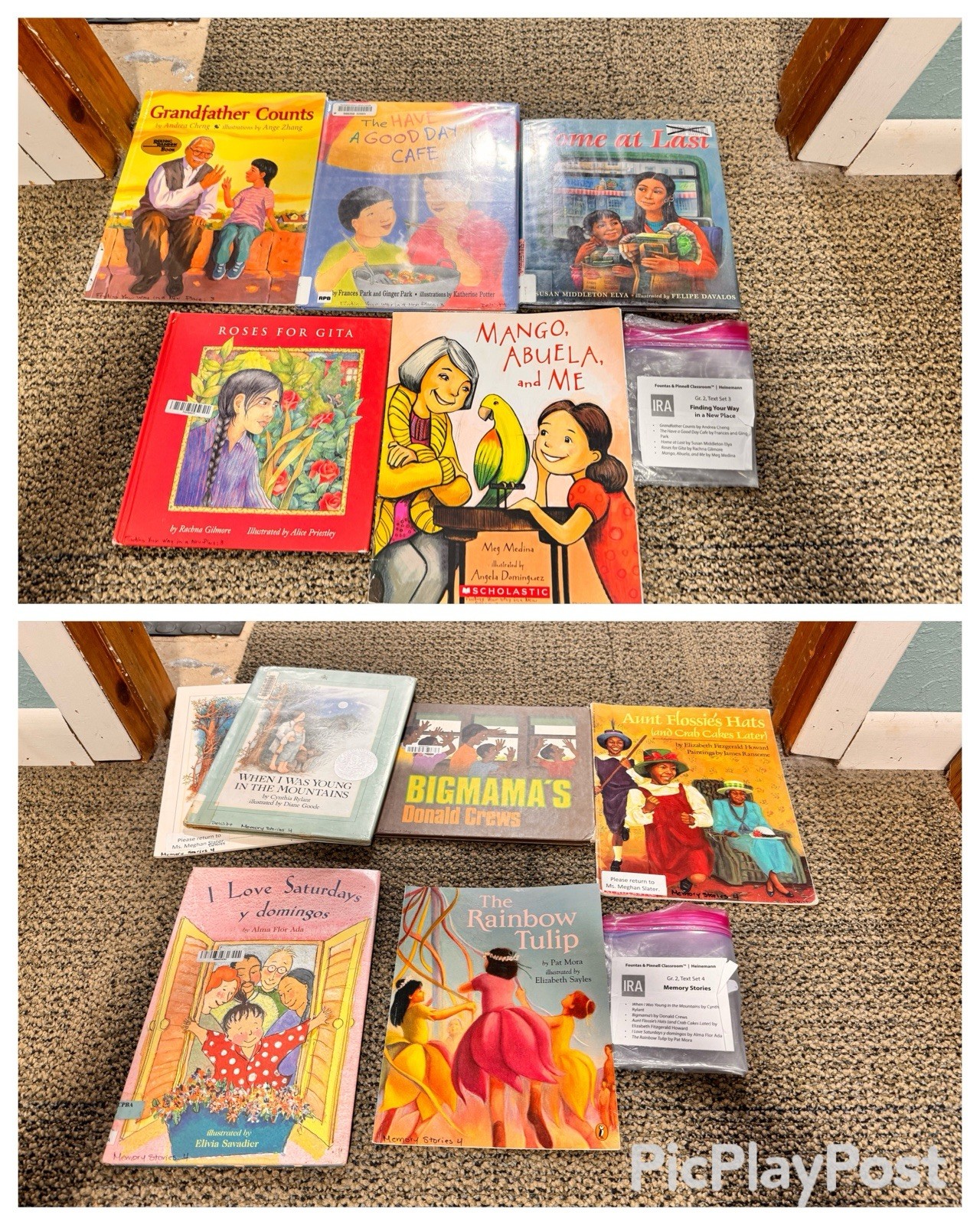 Heinemann Fountas & Pinnell Literacy Continuum Expanded Ed PreK-8 $1300 value