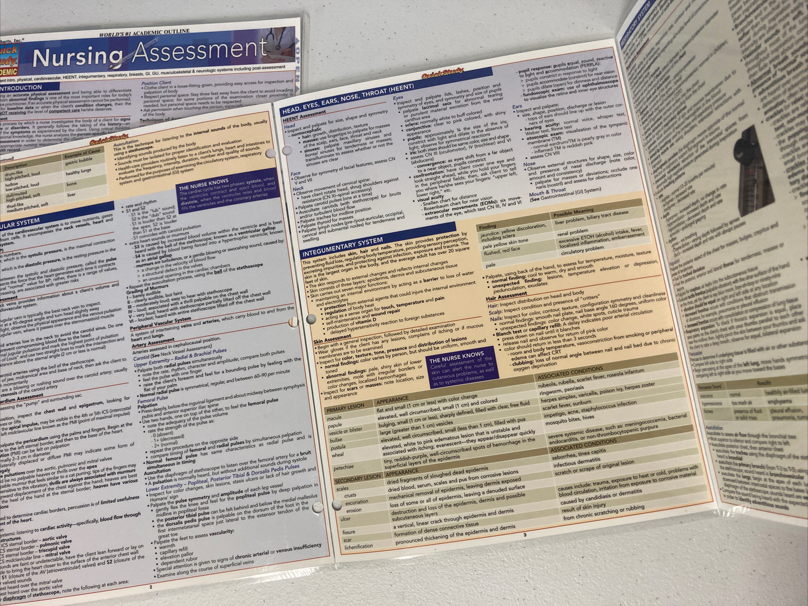 2 pack Quick Study NURSING ASSESSMENT Chart by BarCharts Guide D. Raines PhD RN