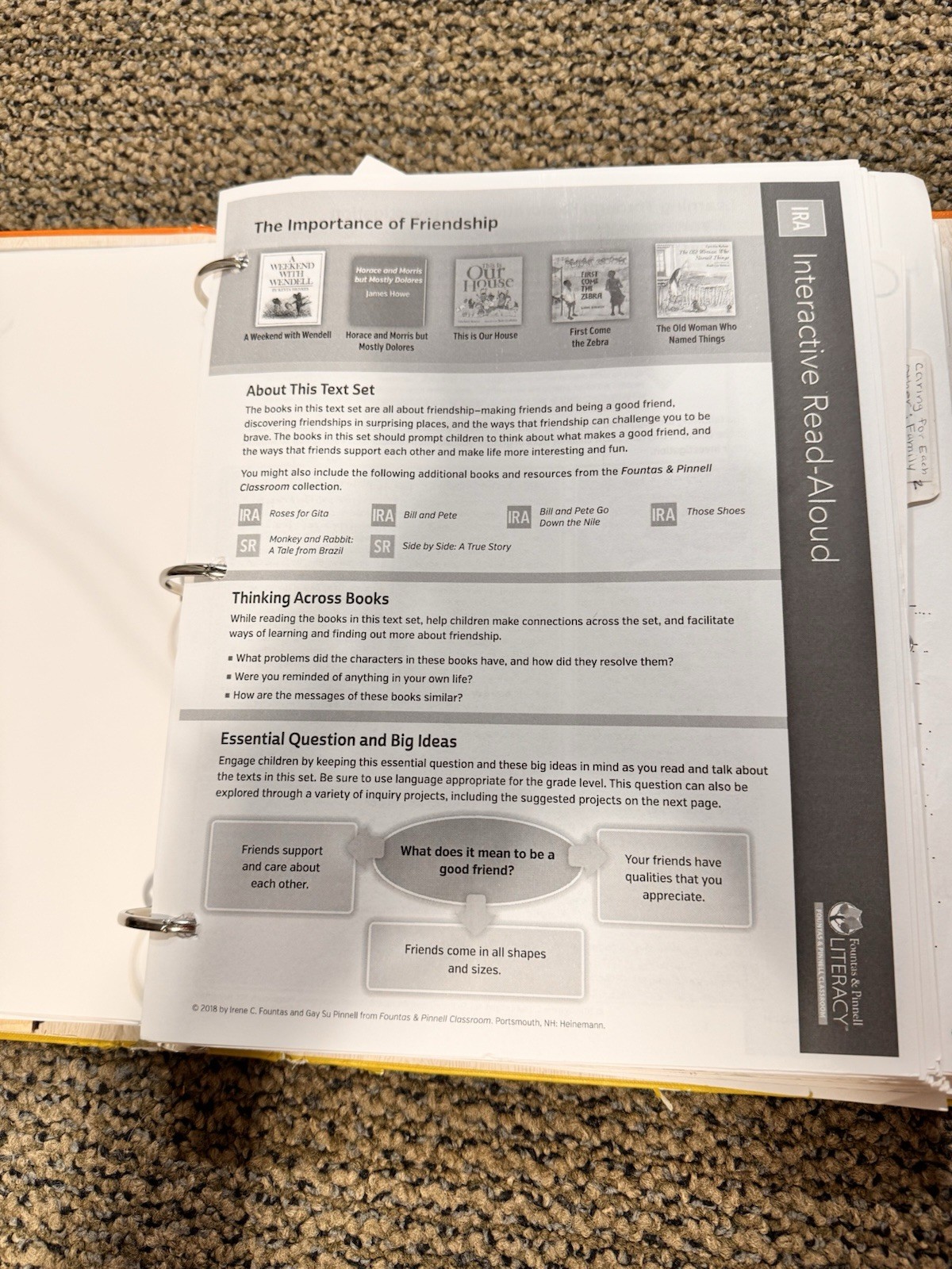 Heinemann Fountas & Pinnell Literacy Continuum Expanded Ed PreK-8 $1300 value