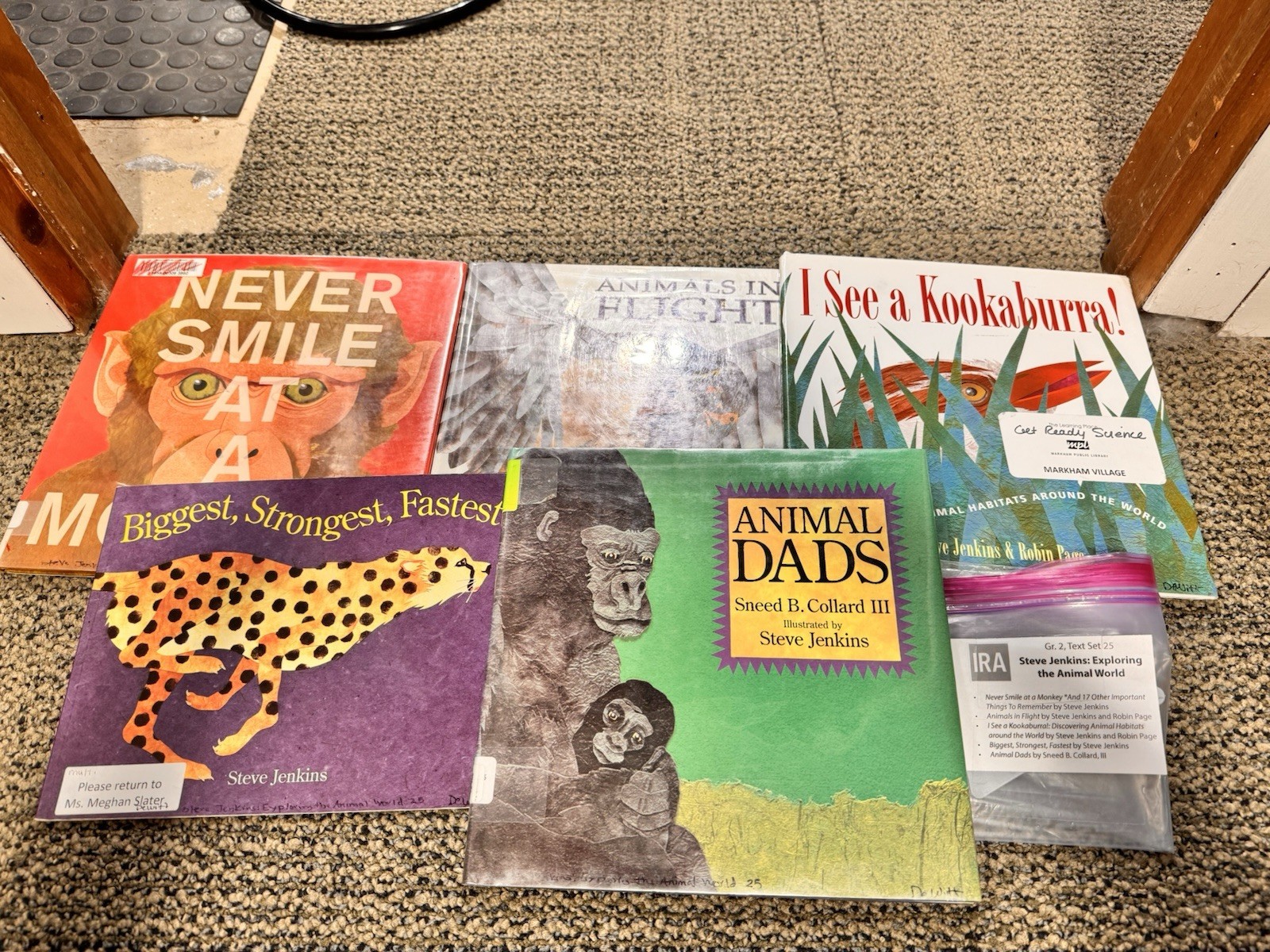 Heinemann Fountas & Pinnell Literacy Continuum Expanded Ed PreK-8 $1300 value