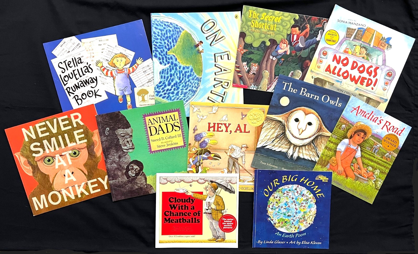 2nd Grade – FOUNTAS & PINNELL – Interactive Read-Aloud (11 books) (Sets 20-25)