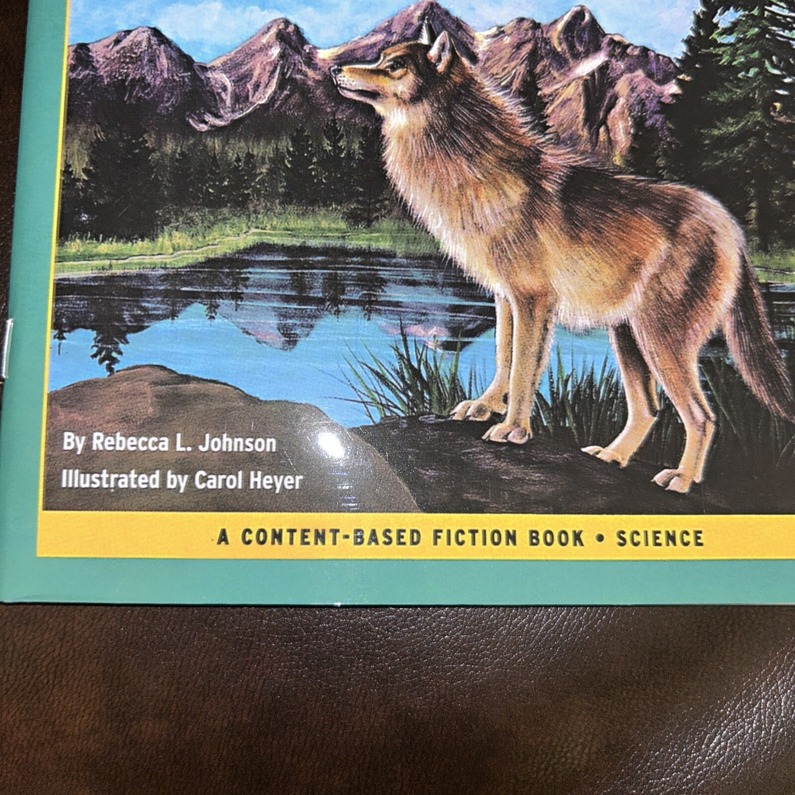 Rise and Shine Content-Based Chapter Books Fiction Mountain Adventure