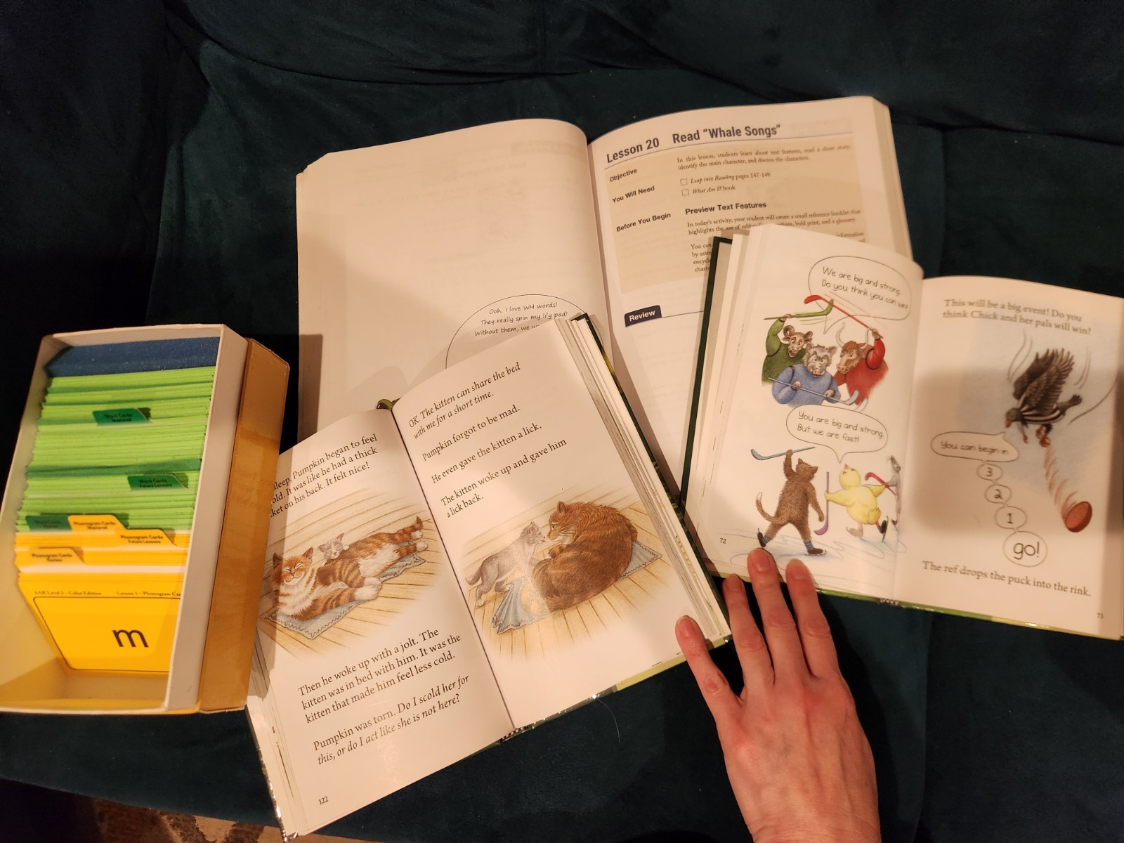 All About Reading Level 2 Color Edition, Manual, 2 Readers & Flashcards