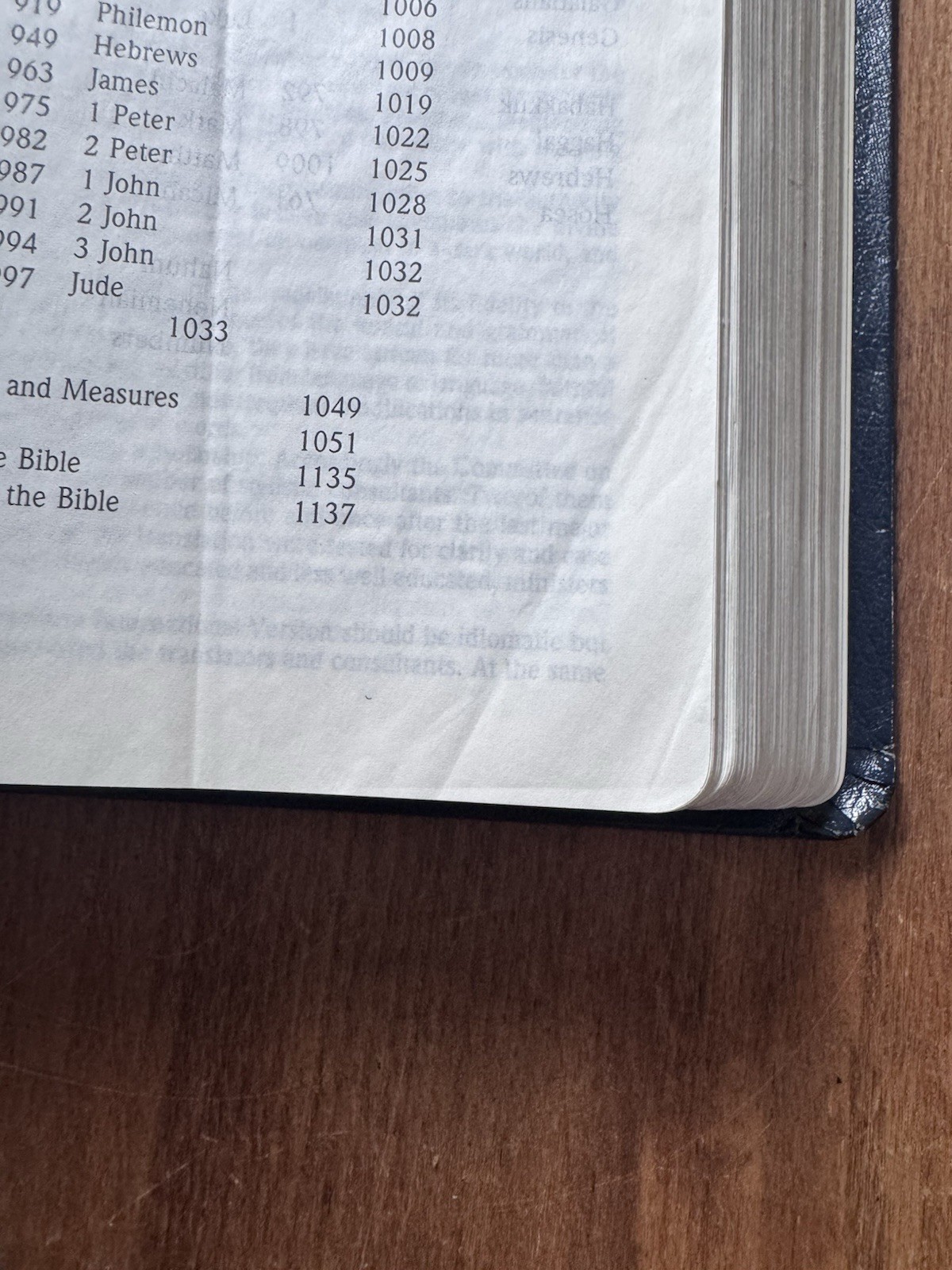 NIV Thinline Bible 1996 Blue Bonded Leather 1984 Red Letter