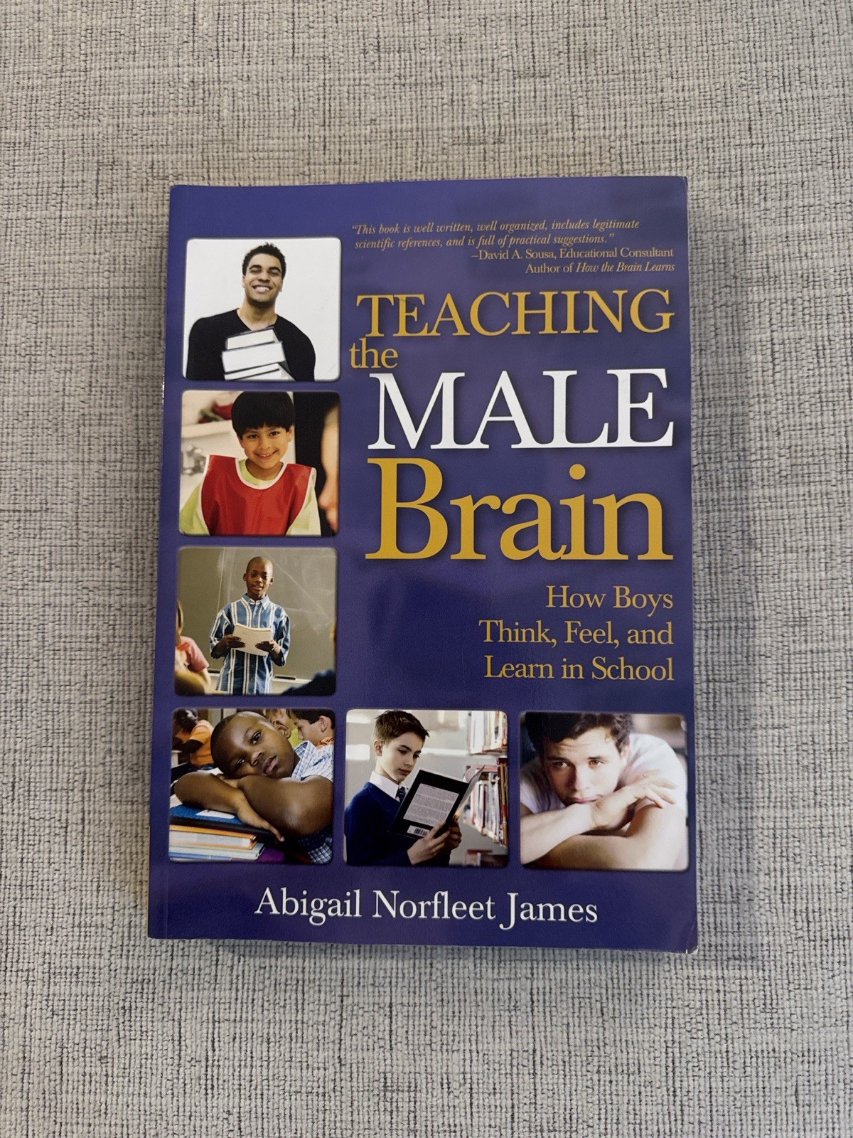 Teaching the Male Brain by Abigail Norfleet James 2007 Corwin Press Education