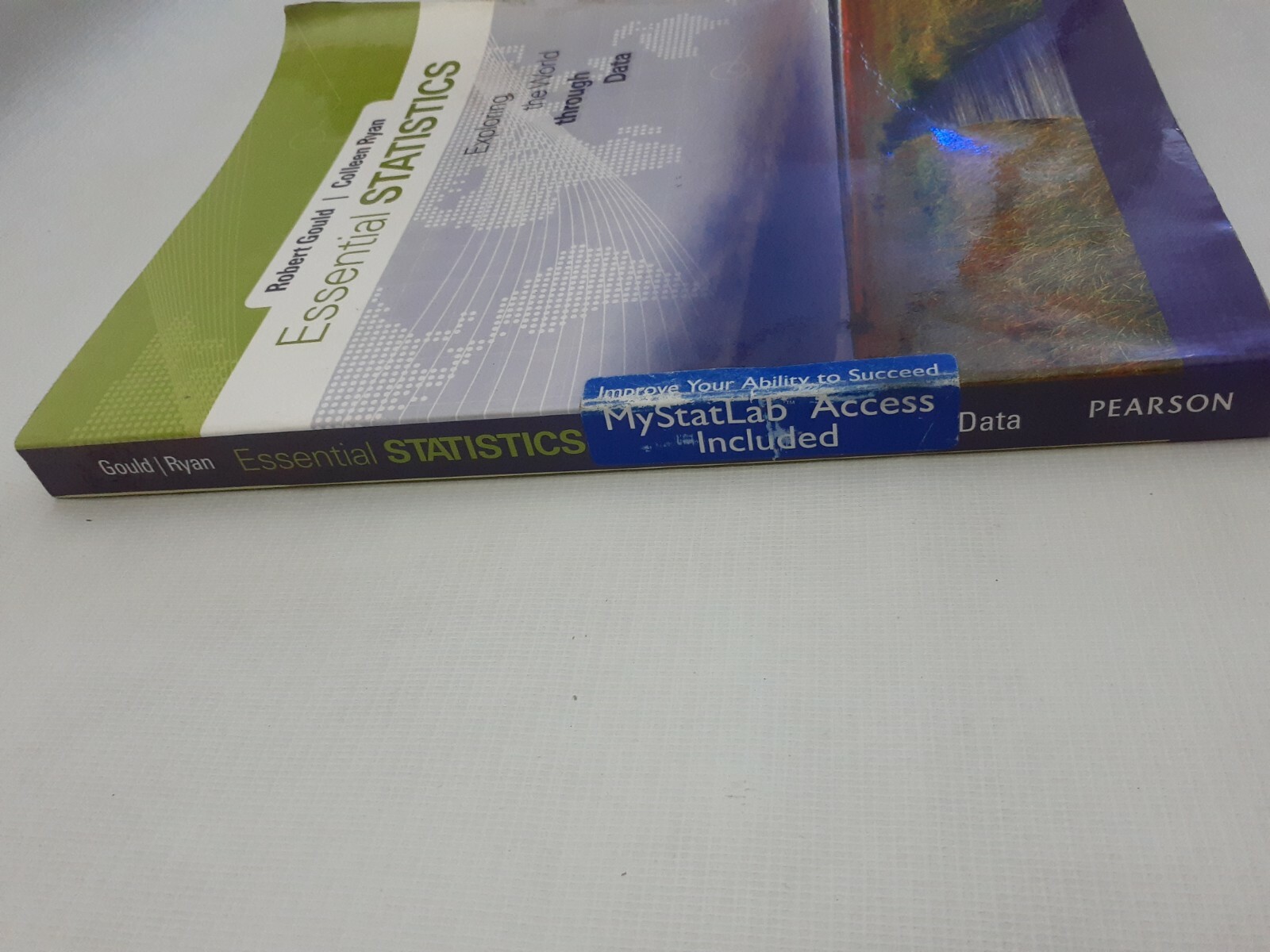 Essential Statistics by Gould, Robert N.; Ryan, Colleen N. Book + CD room disc
