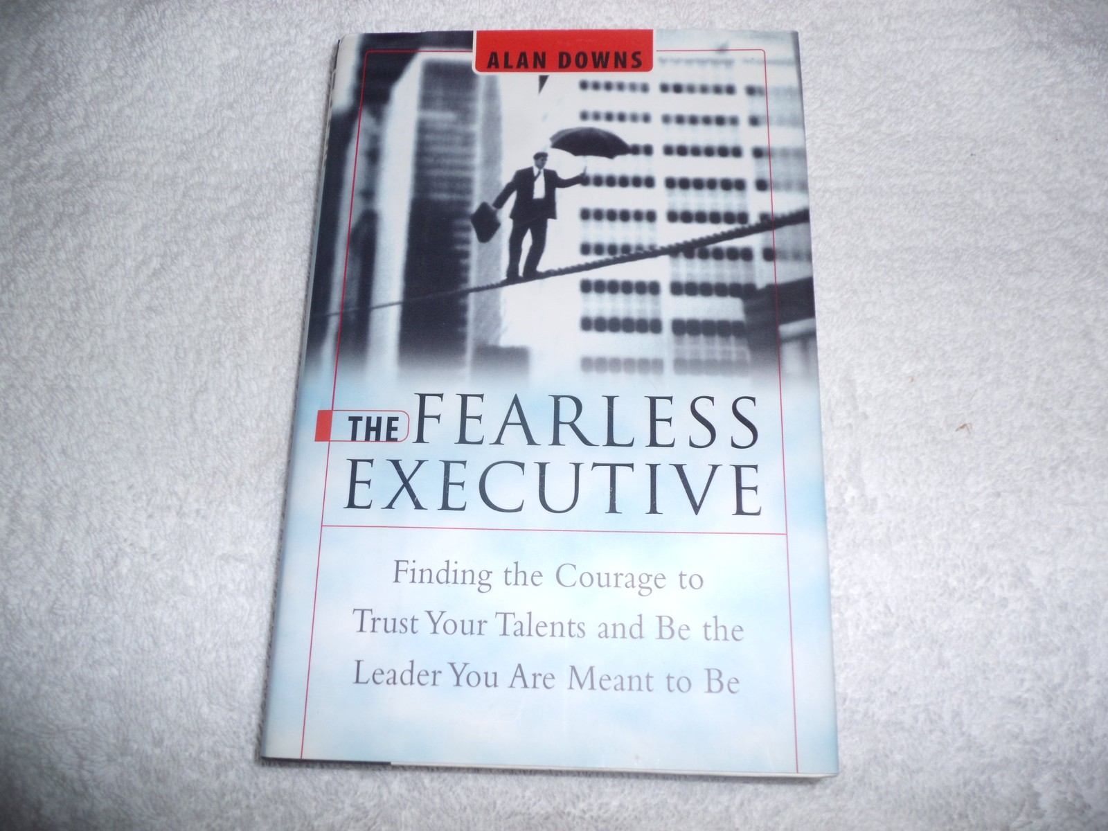 The Fearless Executive