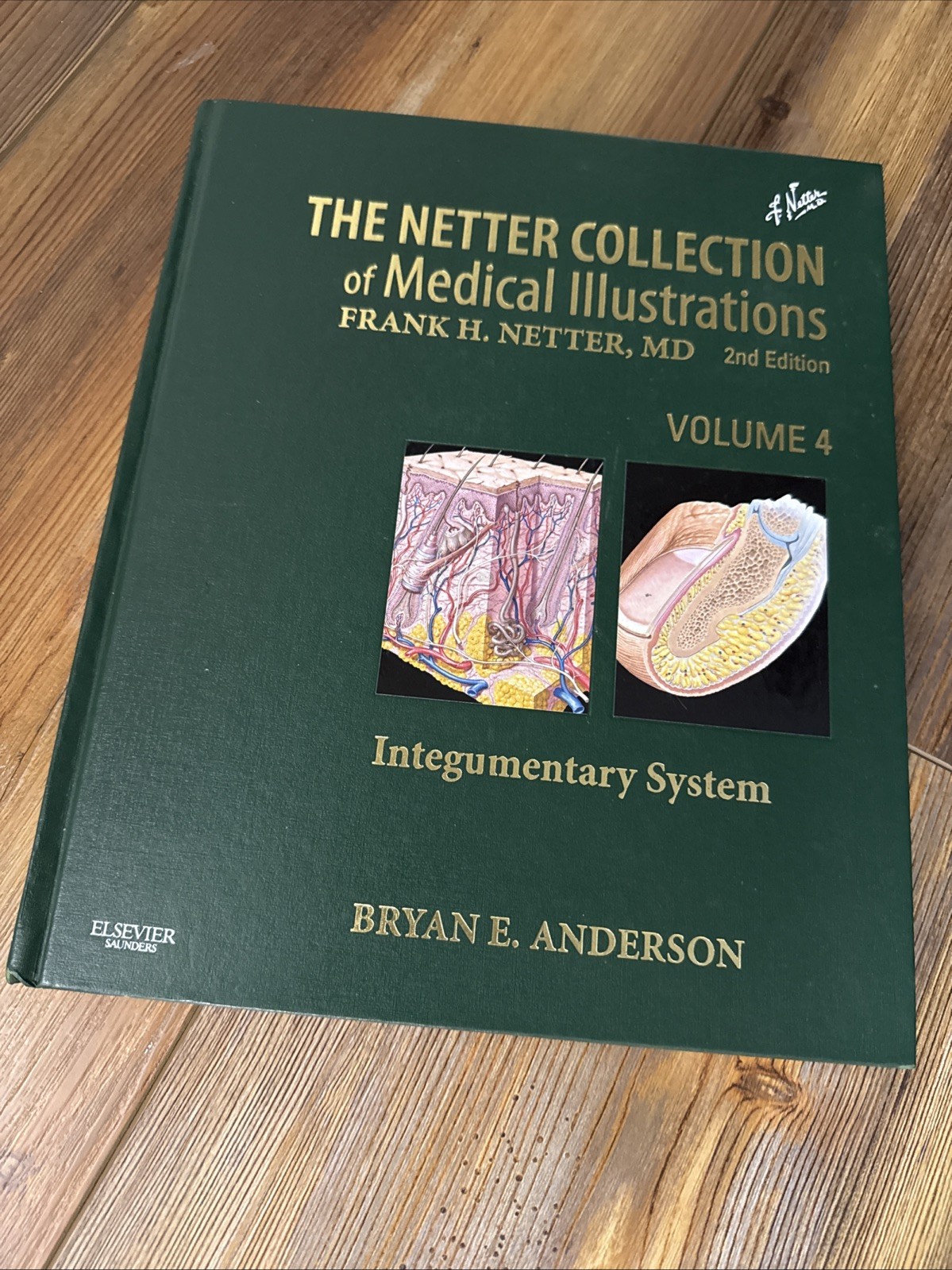 The Netter Collection of Medical – Hardcover, by Anderson MD Bryan Volume 4
