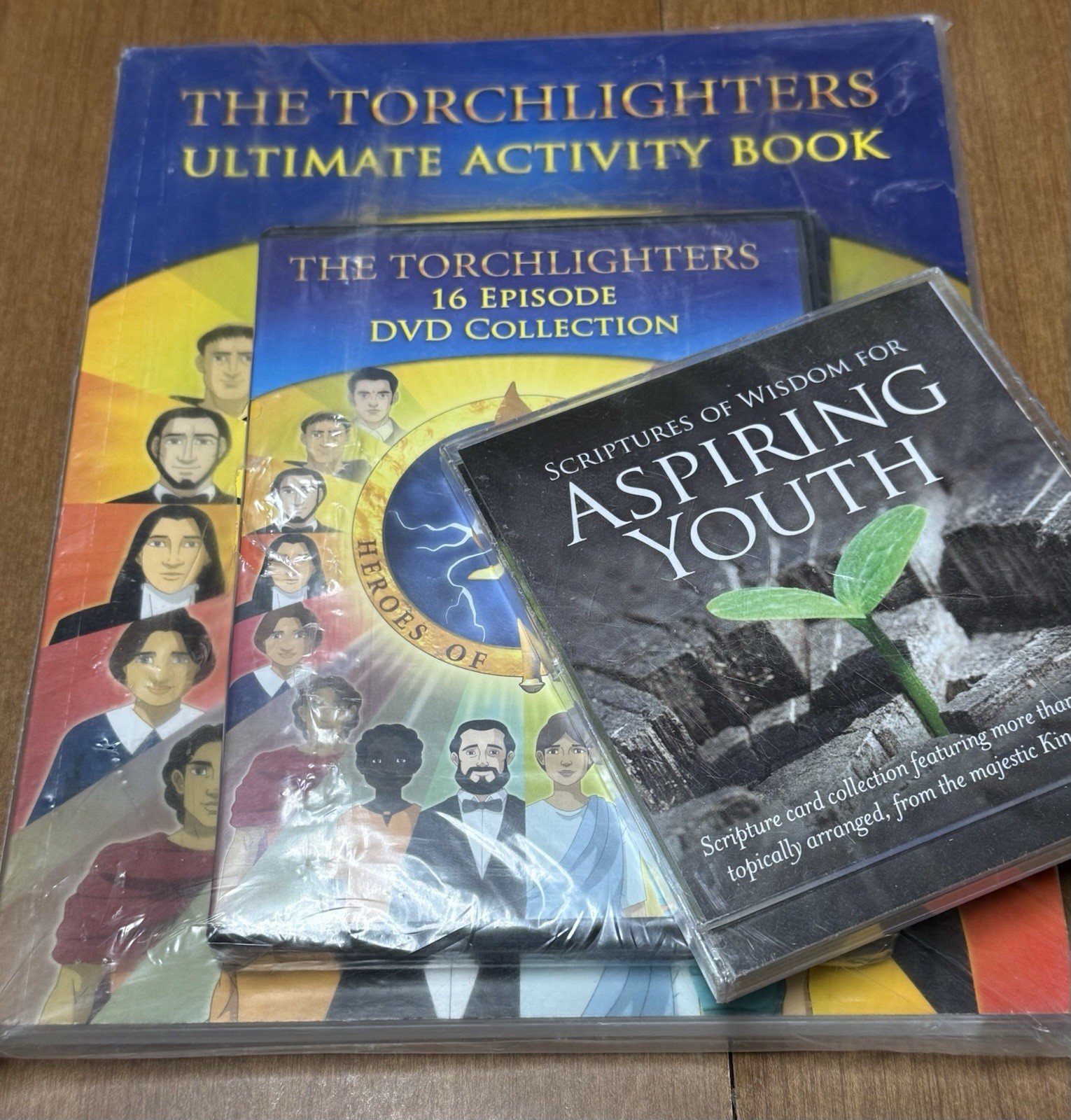 NEW Torchlighters 16 Episode 4 DVD Collection 144 Page Activity Book Christian