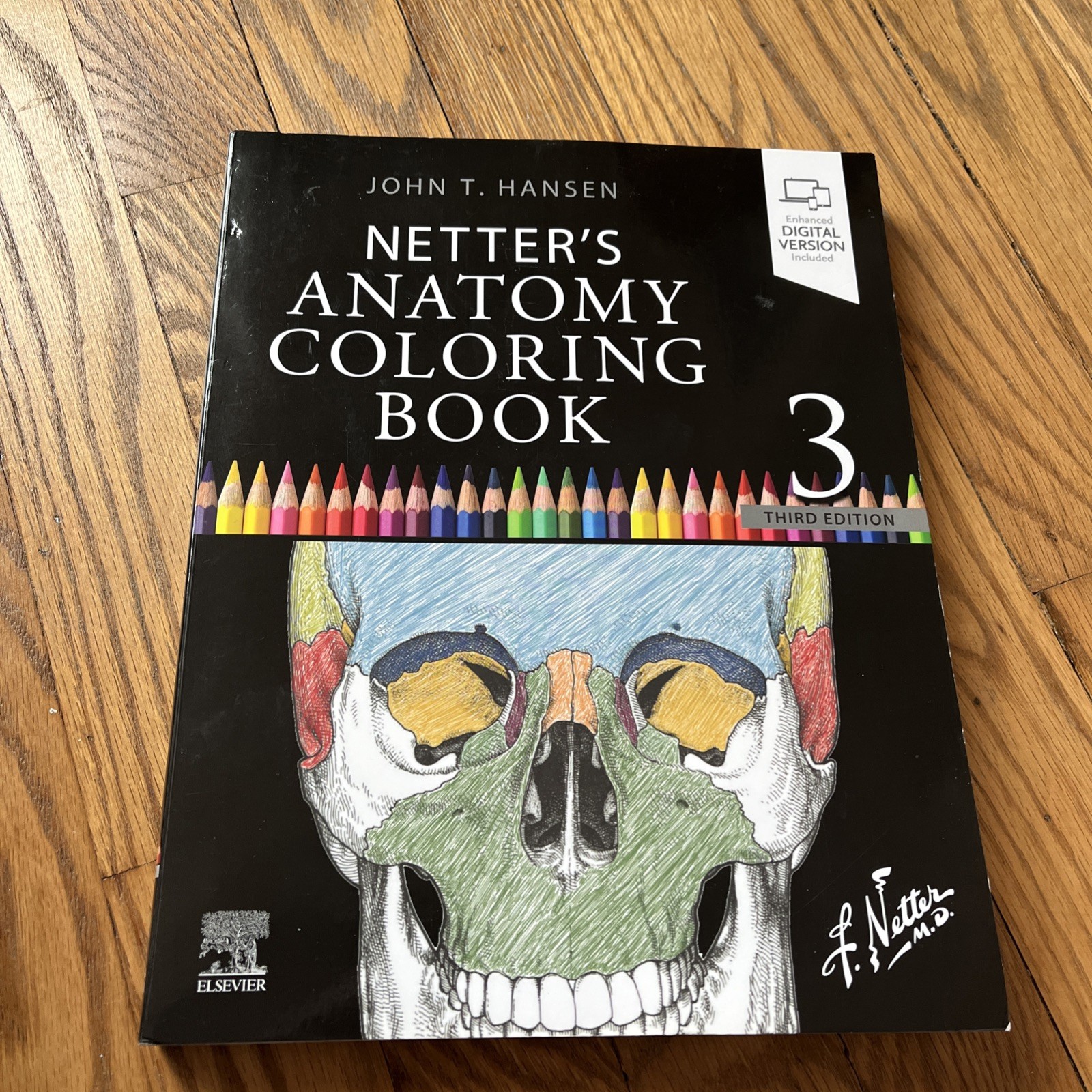 Netter’s Anatomy Coloring Book