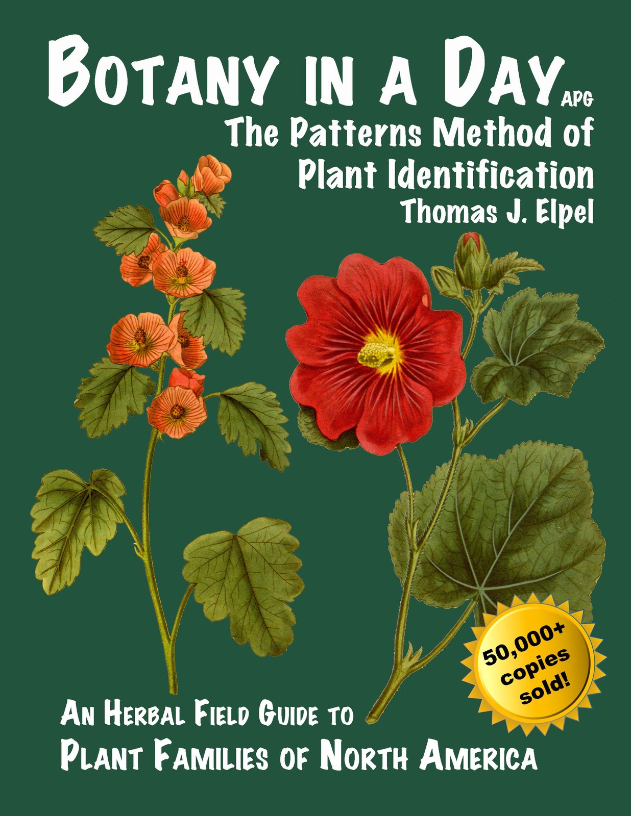 Botany in a Day: The Patterns Method of Plant Identification by Elpel