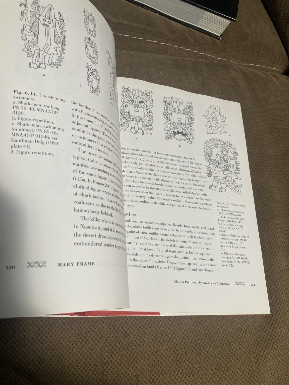 Symmetry Comes Of Age, The Role Of Pattern In Culture Hardback Book Dust Jacket