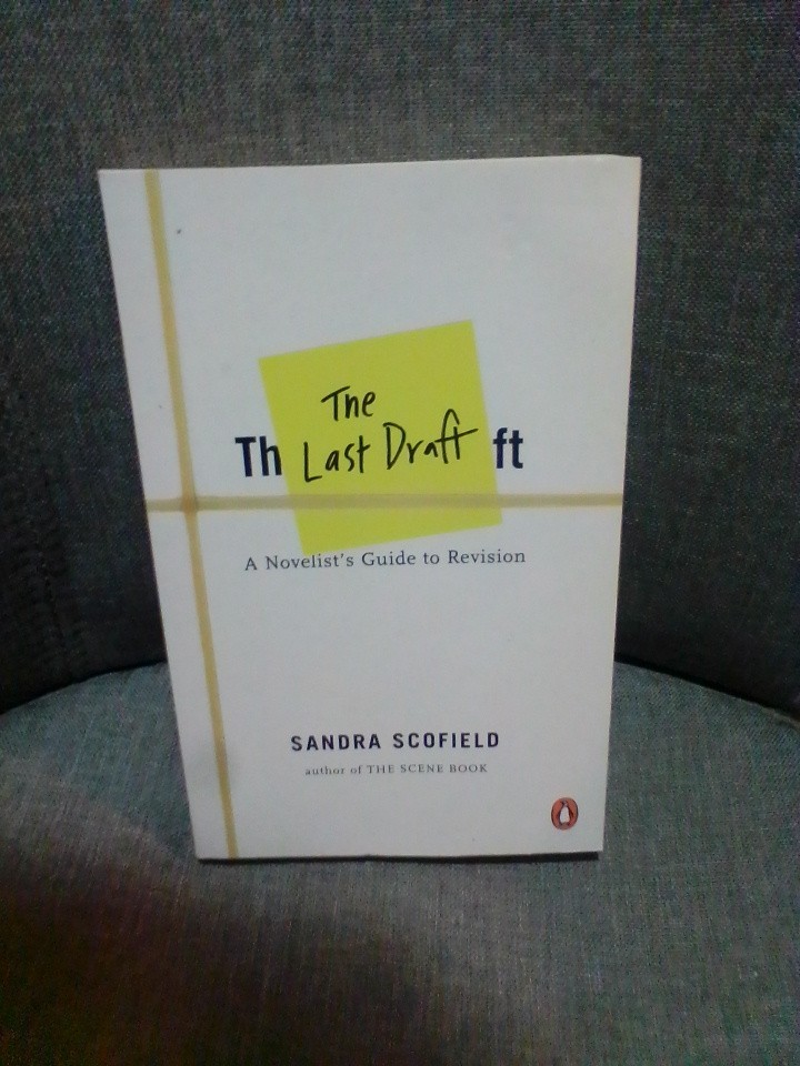 The Last Draft : A Novelist’s Guide to Revision Paperback Sandra