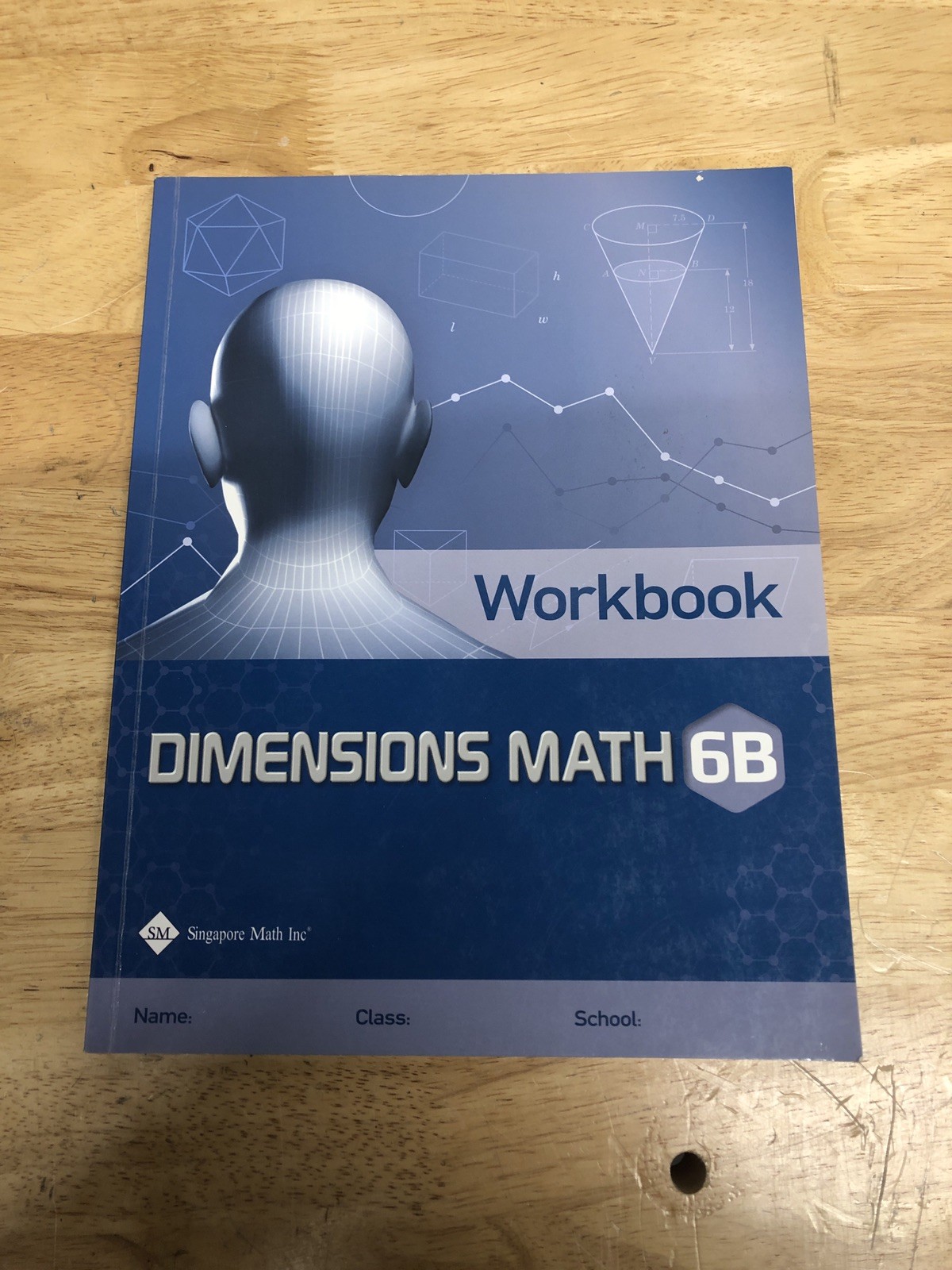 Singapore Math Inc. – Dimensions Math Workbook 6B