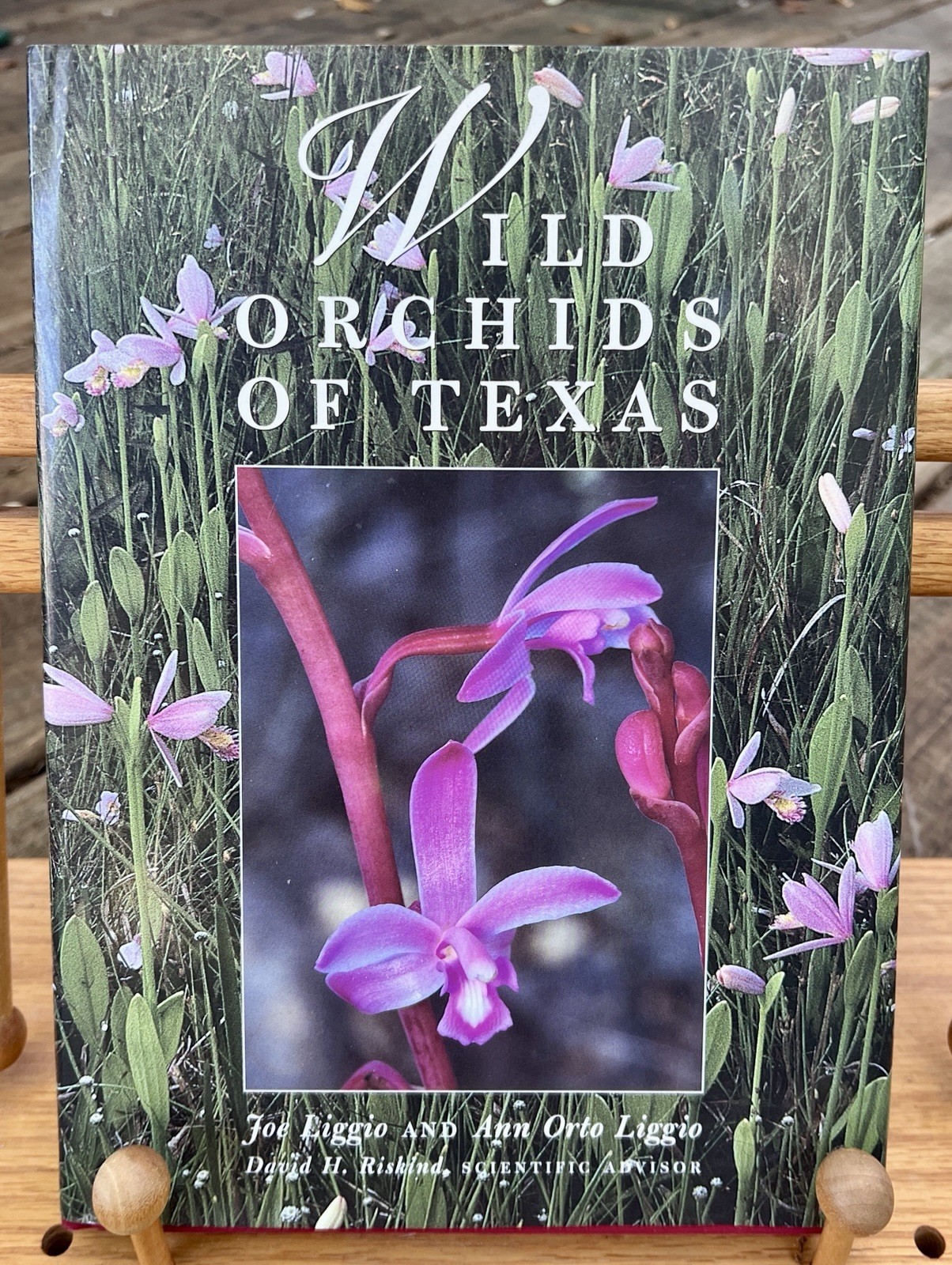 VTG Wild Orchids of Texas 1999 Joe&Ann Liggio LIKE NEW Native Flora Wildflowers