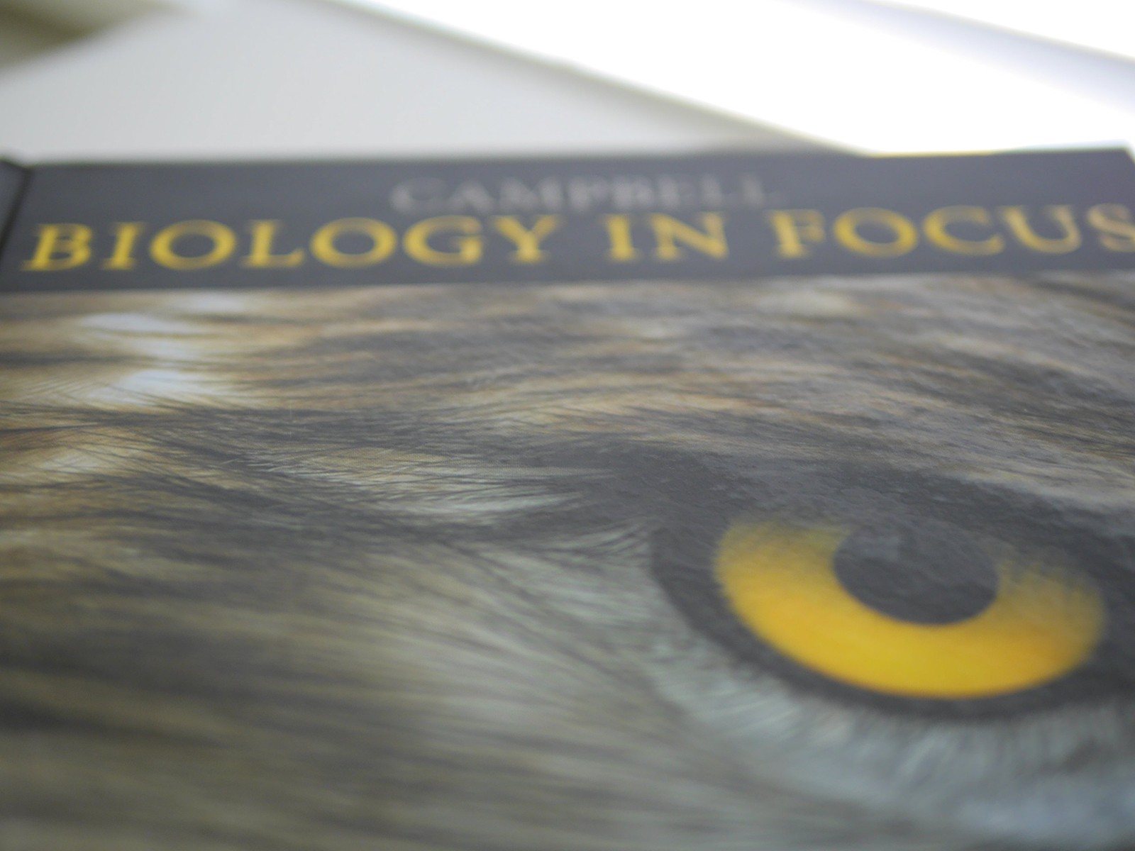 Campbell Biology in Focus – Standalone book – hardcover Urry, Lisa A.|Wasser…