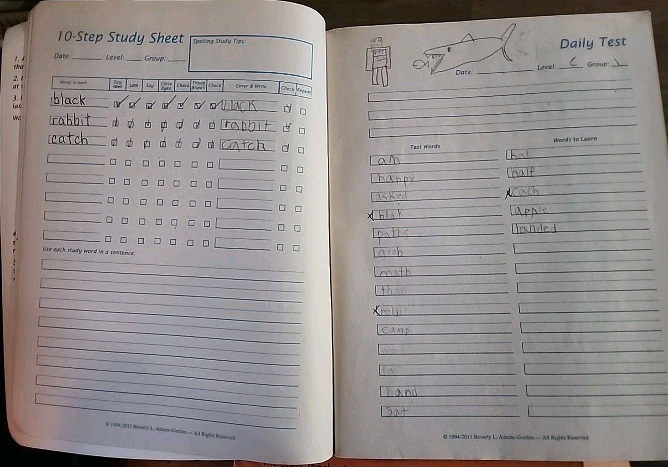 Adams-Gordon’s SPELLING POWER, Fourth Edition with CD-ROM and DVD