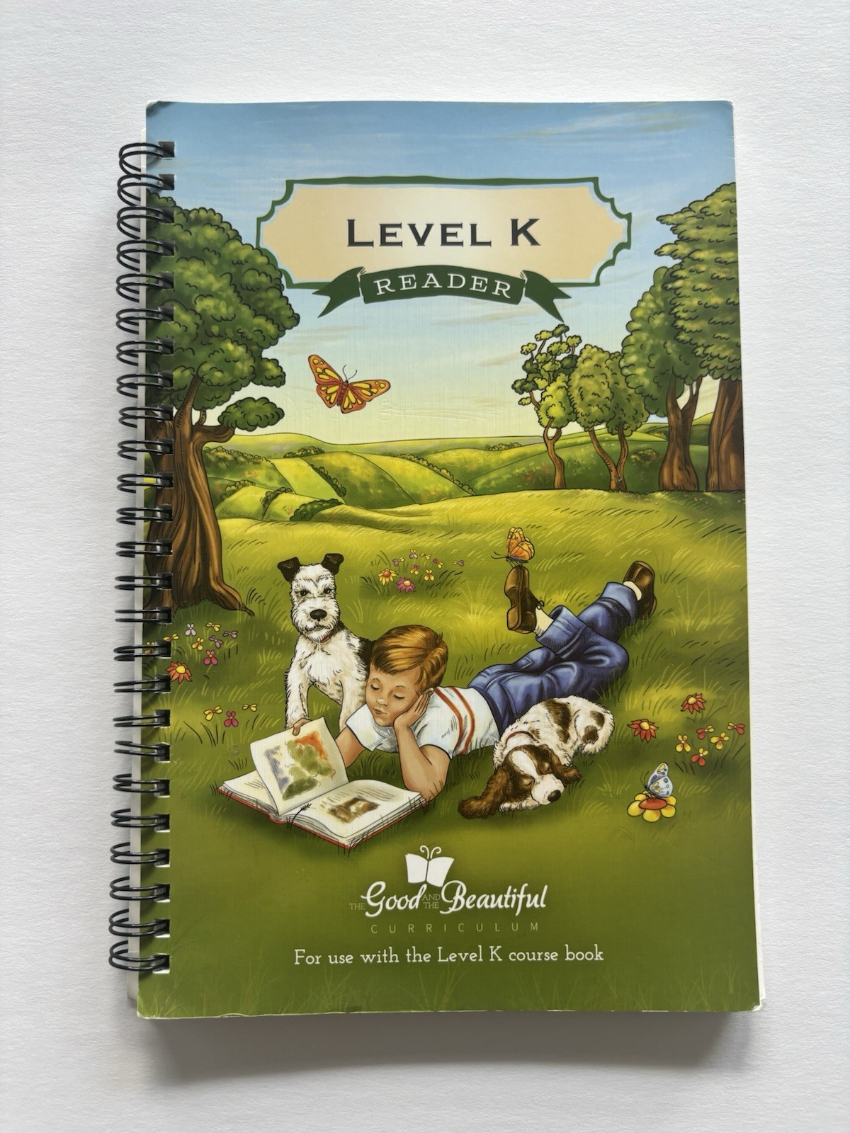Level K Reader Good and The Beautiful Curriculum Level K