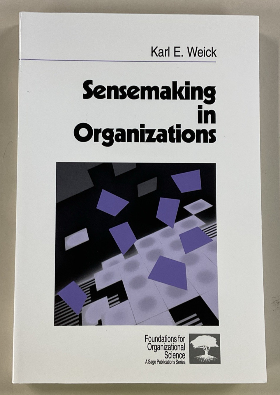 Sensemaking in Organizations by Dr Karl E Weick SC 1995 Sage Publications