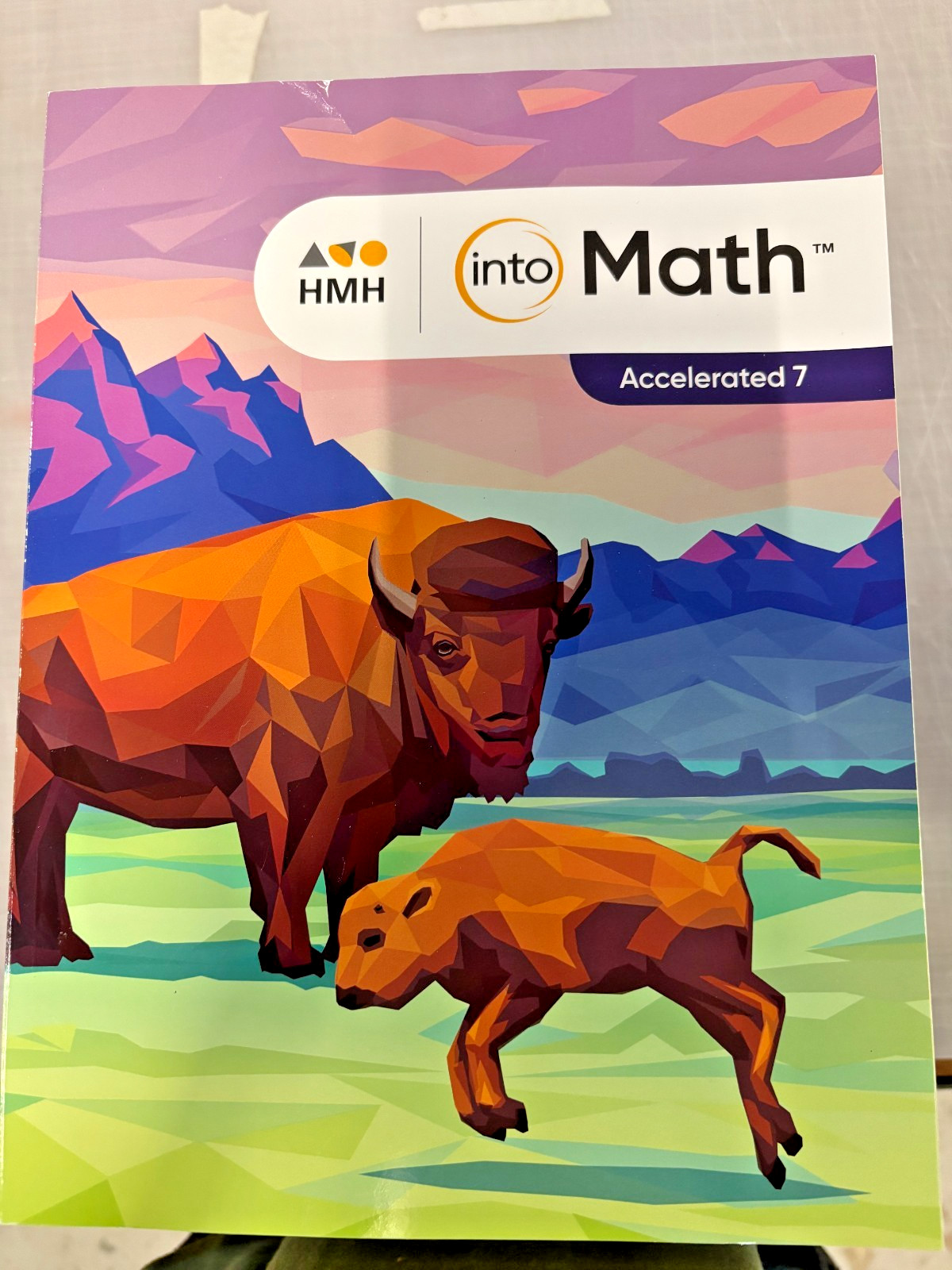 HMH Into Math: Accelerated 7 – Paperback Houghton – Brand New
