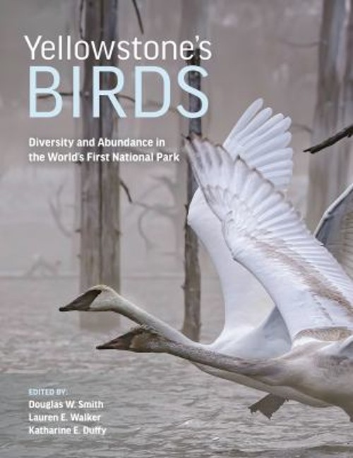 Yellowstone’s Birds : Diversity and Abundance in the World’s Firs