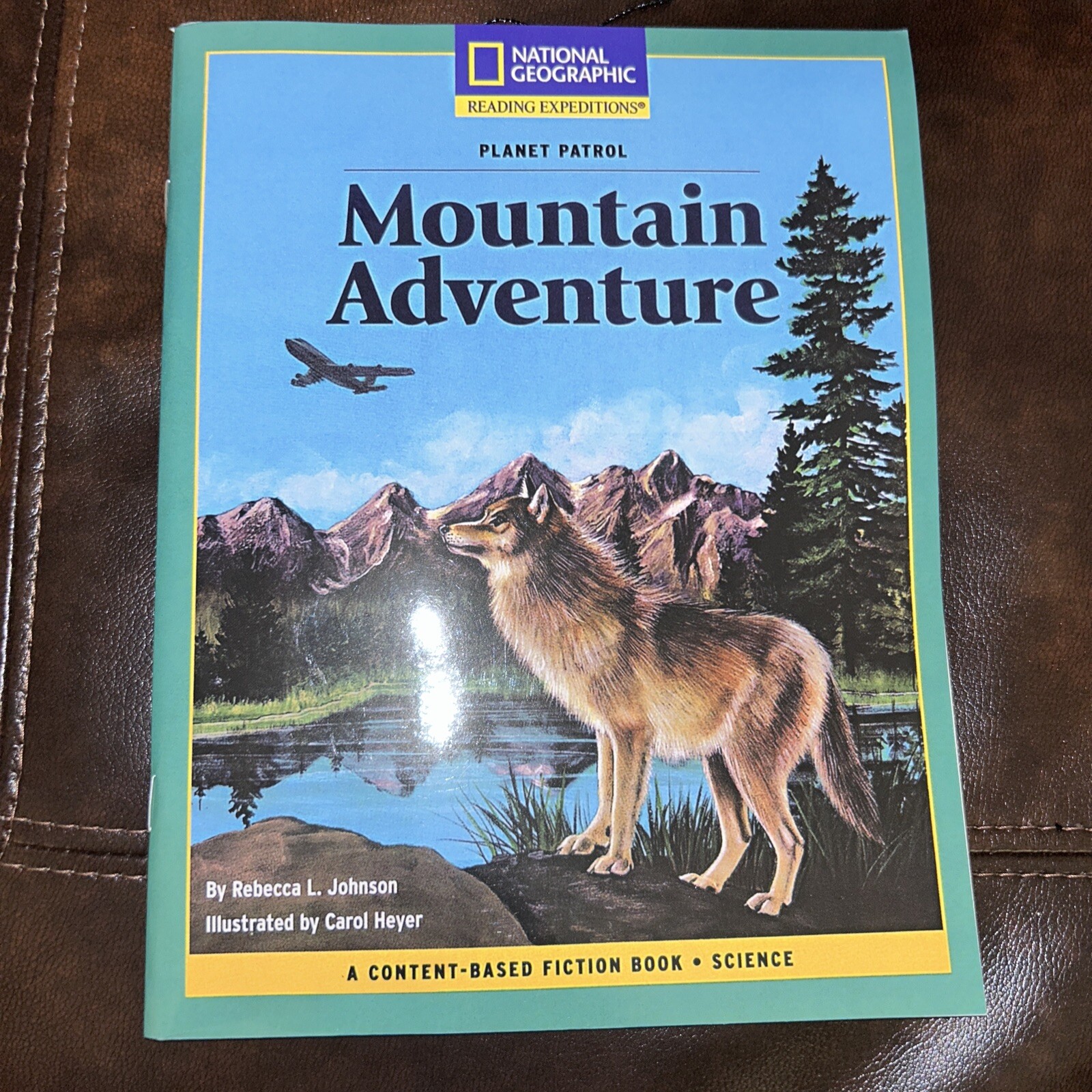 Rise and Shine Content-Based Chapter Books Fiction Mountain Adventure