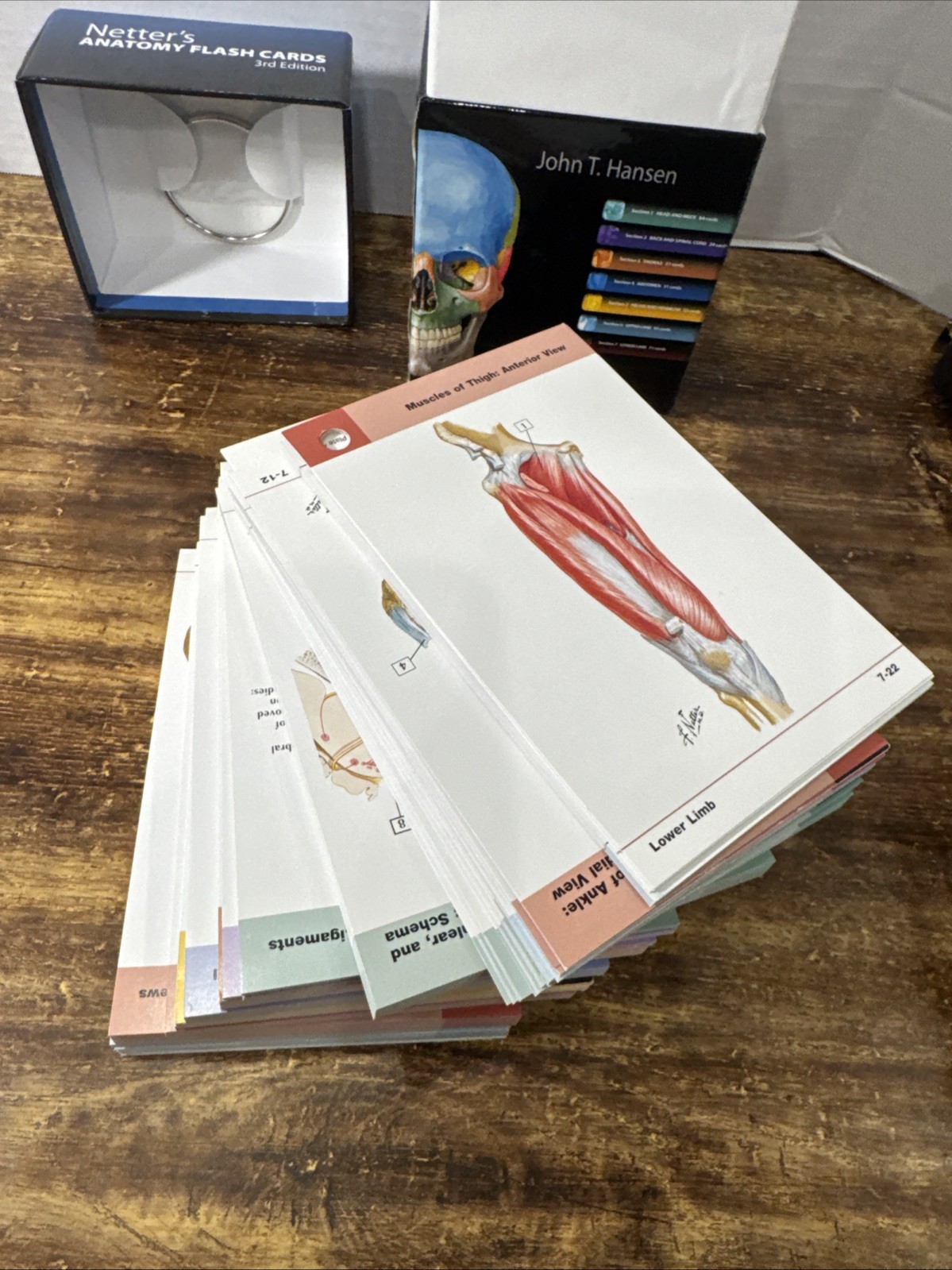 Netter’s Anatomy Flash Cards: with Online – Cards, by John T. Hansen – Good