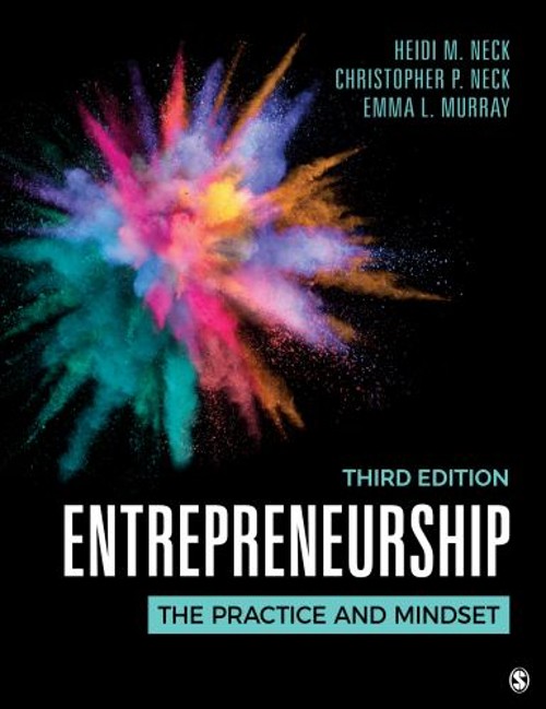 Entrepreneurship : The Practice and Mindset Paperback