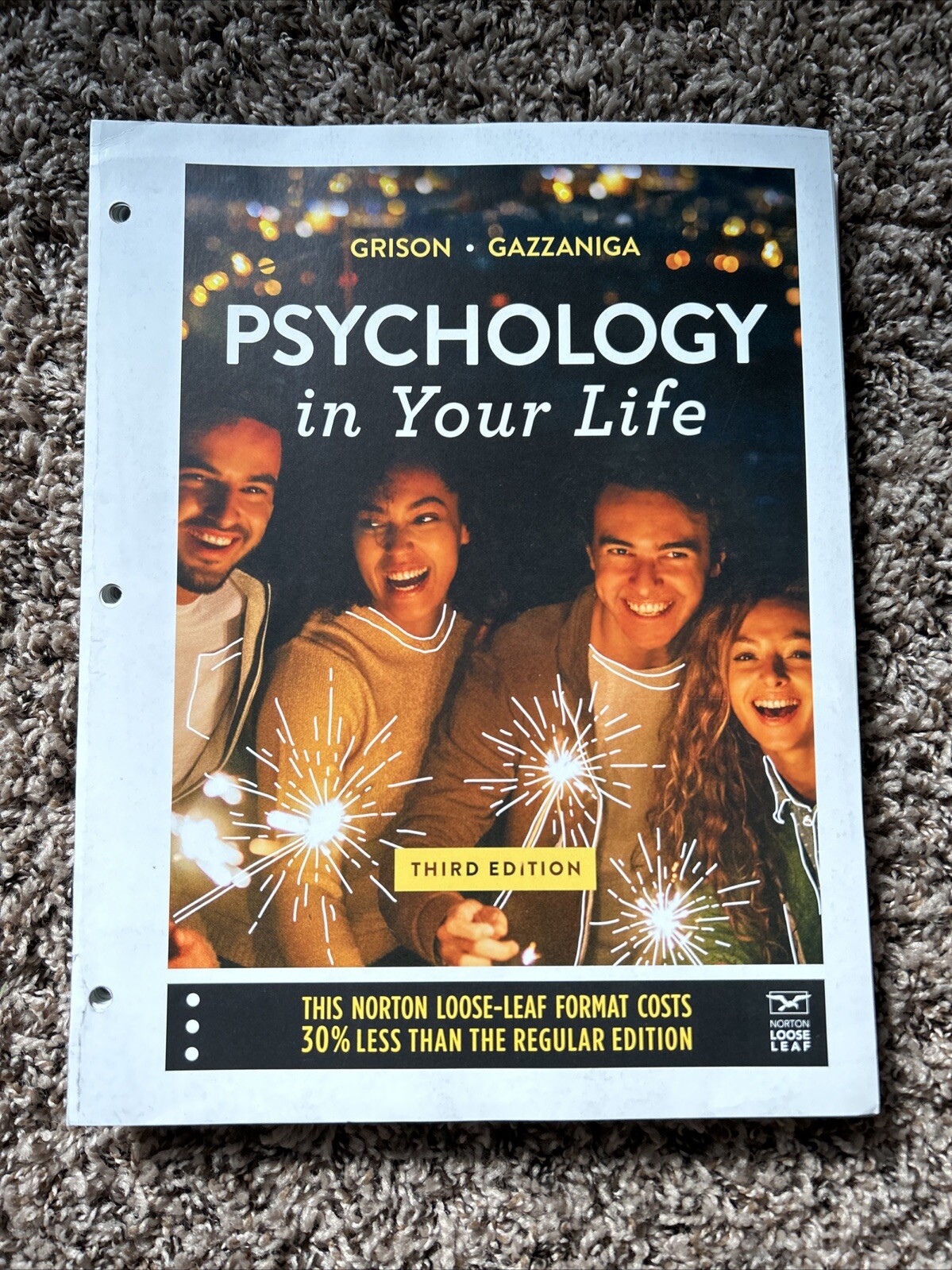 Psychology in Your Life by Sarah Grison and Michael Gazzaniga (2019, Ringbound /