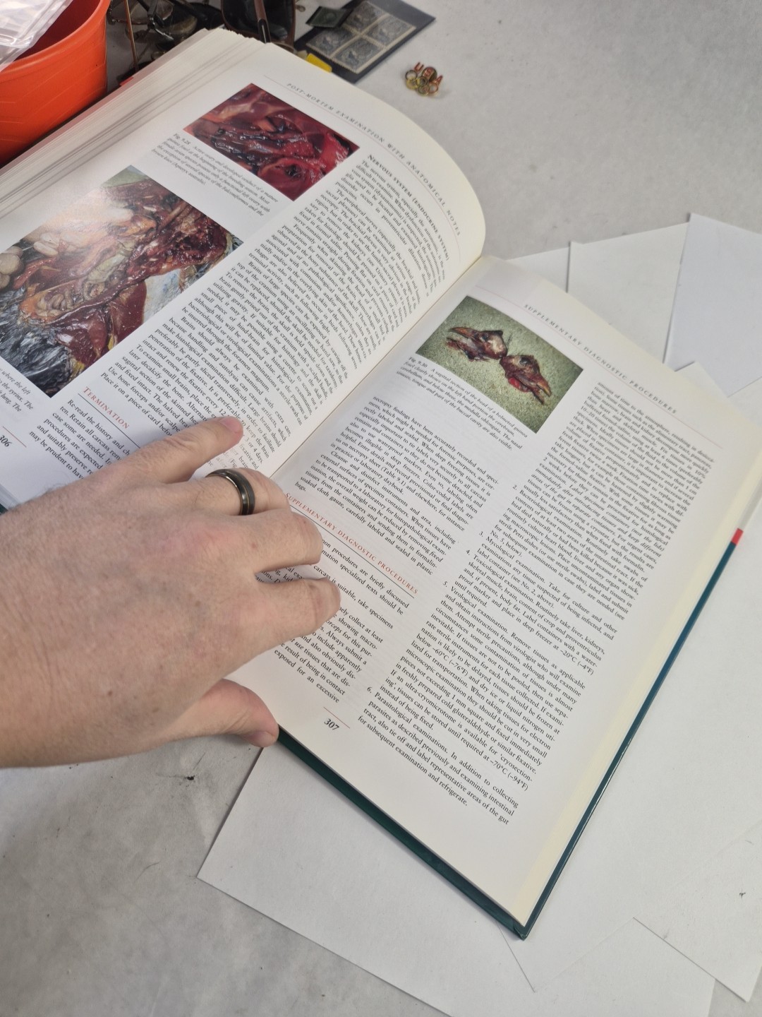 Rare Book! Avian Medicine by Jaime Samour MVZ PhD Dip ECAMS