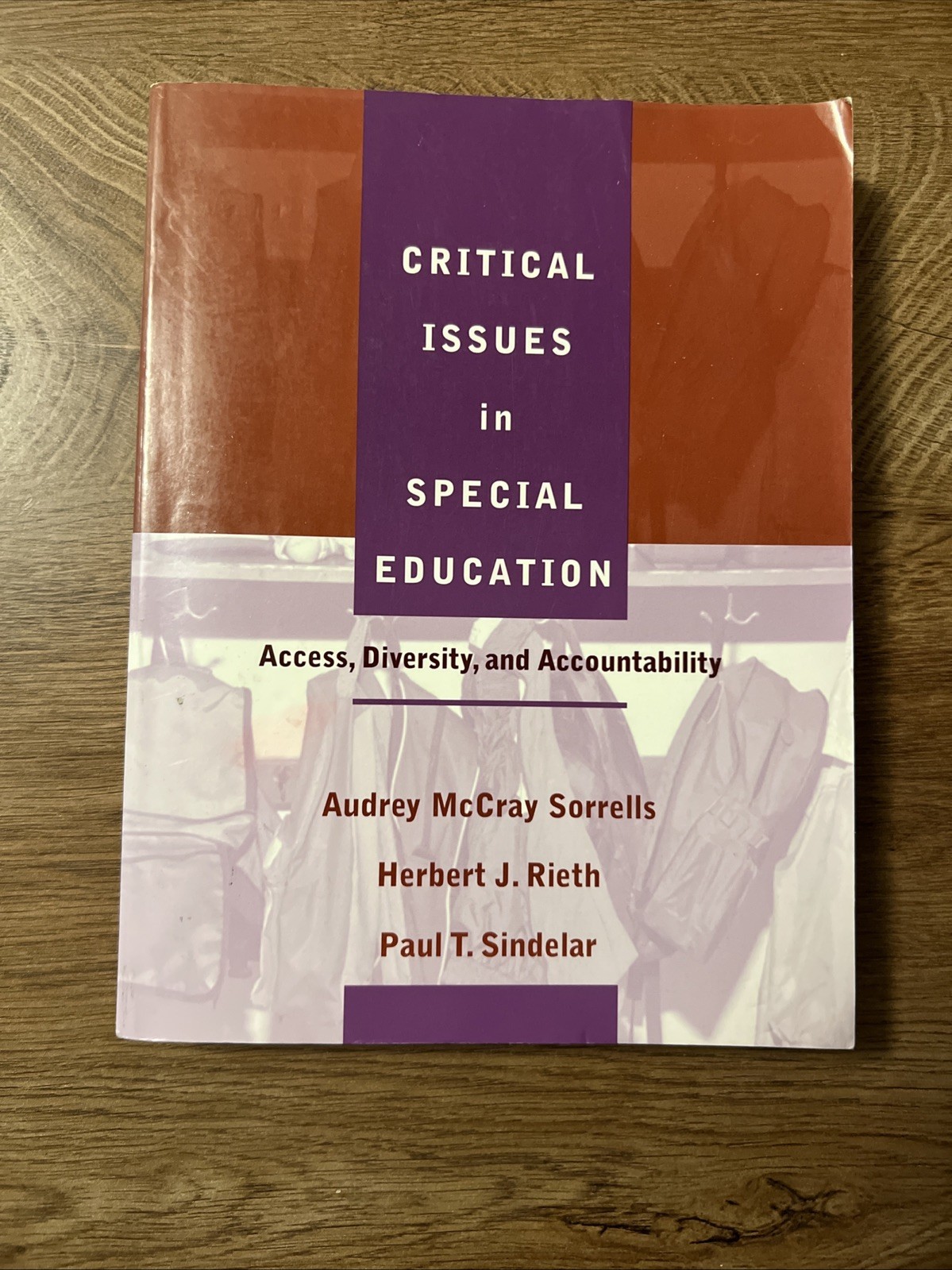 Critical Issues in Special Education : Access, Diversity, and Accountability by
