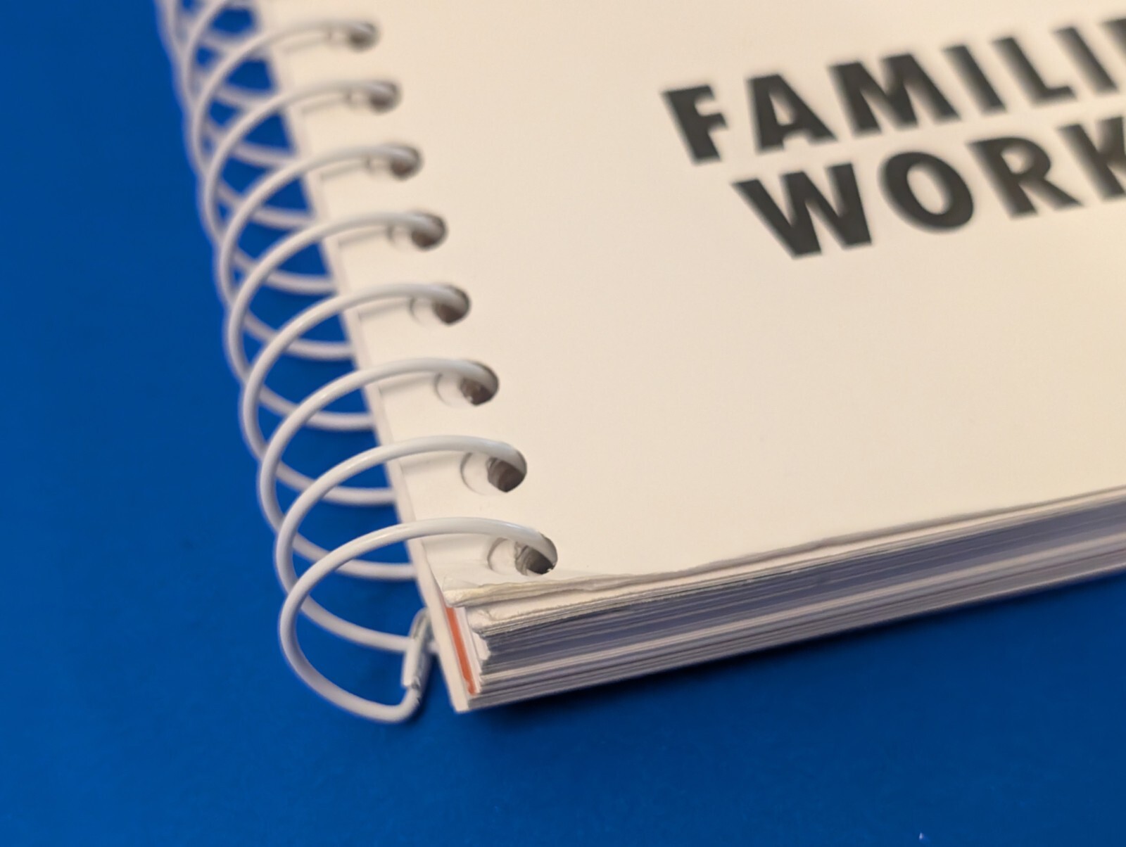 Into Social Studies – Families Working Grade 1 Teacher’s Guide – Homeschoool