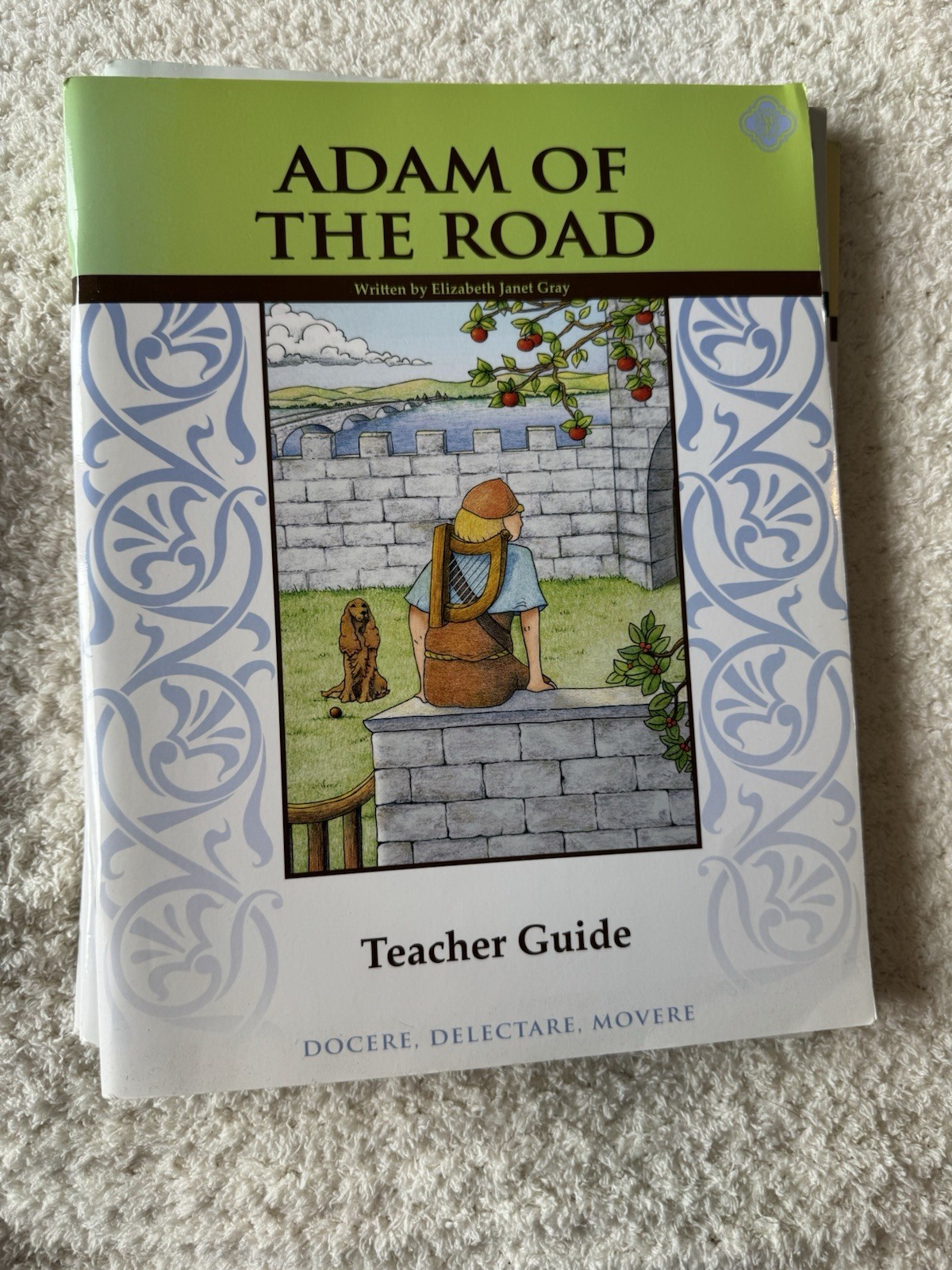 The Cricket in Times Square Teacher Guide Teacher’s Edition Reading Literature