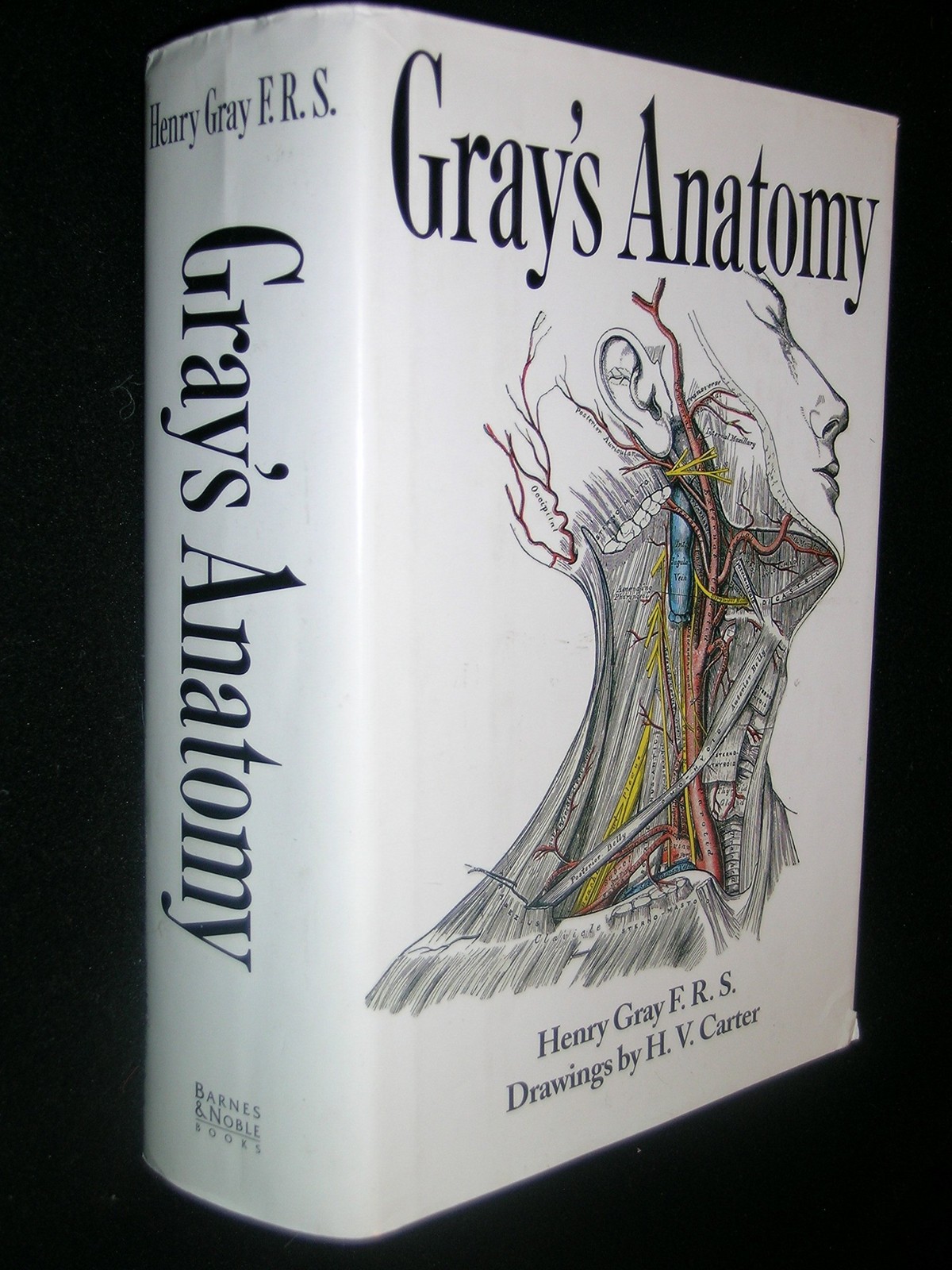 Gray’s Anatomy